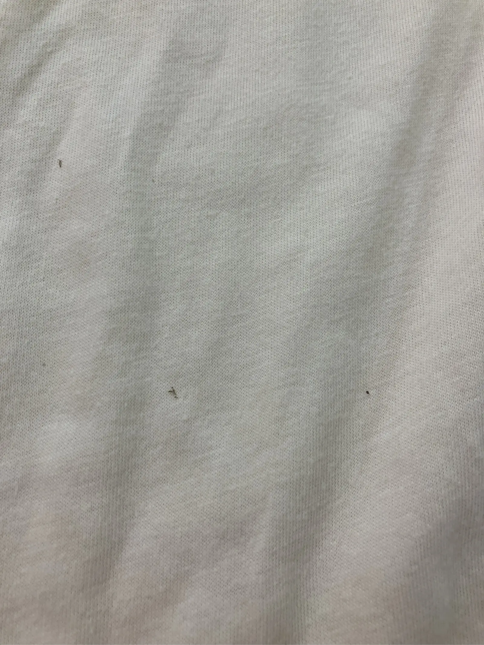 https://r2-worker.digdig.jp/product/06b2e486-6e20-4ebc-a942-dc70783b49c5/340ad2b5-9efd-4cb6-8972-efd87142aa73