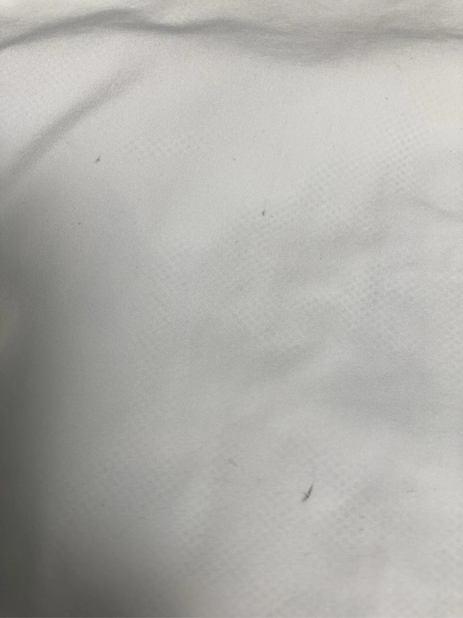 https://r2-worker.digdig.jp/product/140018cf-d910-444b-b2d1-35081ee9ce2f/a08a31aa-5f95-4363-bcd7-123e3f008844