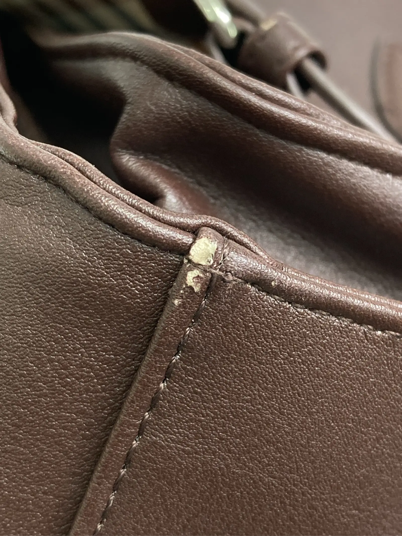 https://r2-worker.digdig.jp/product/158ab82d-7067-4a56-b41a-1c7a2664903f/ea852684-f07c-4c74-a053-5144e85e9c43