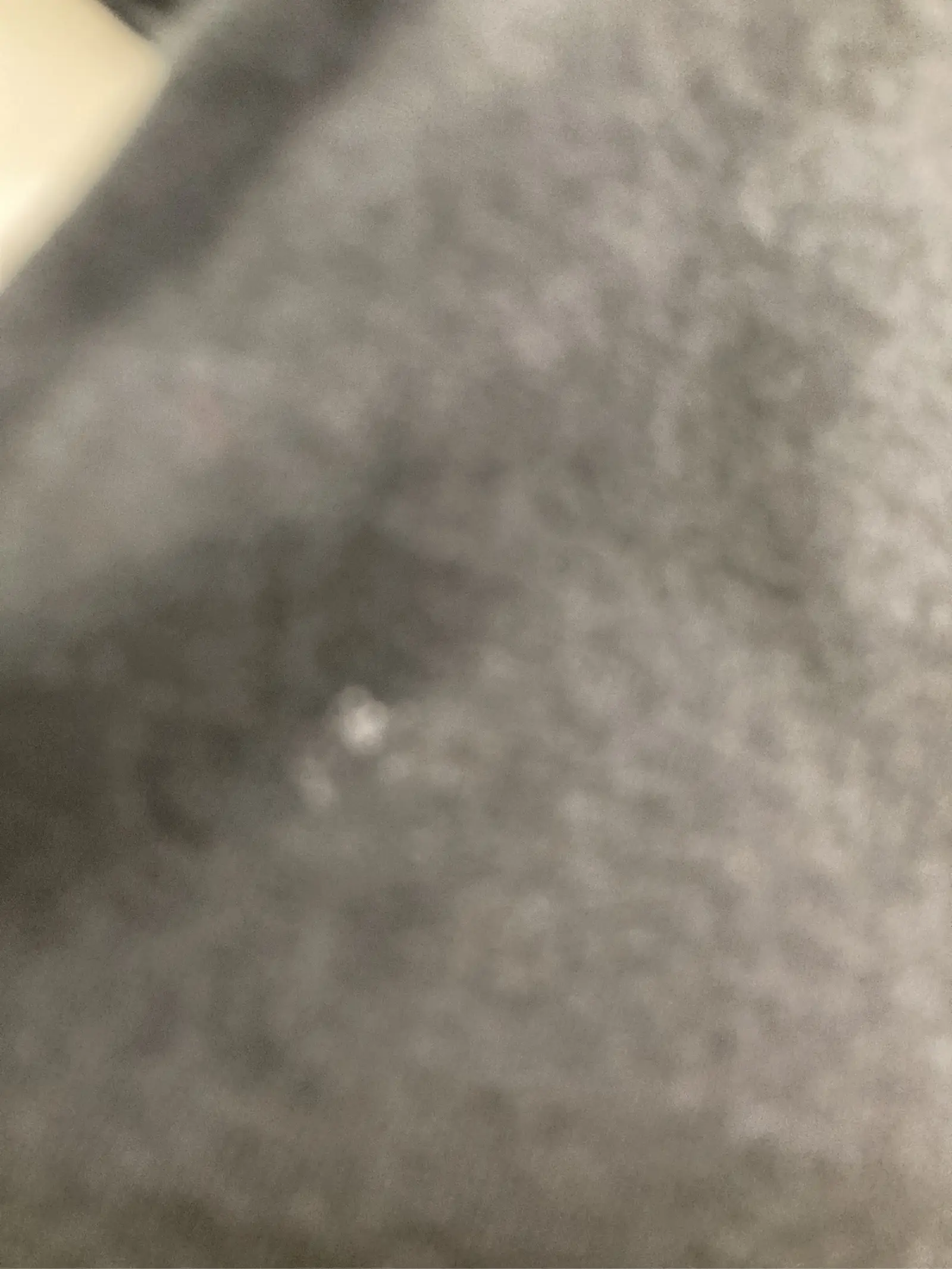 https://r2-worker.digdig.jp/product/171919c4-4d2e-4b96-9517-32aa0883021f/e72216a6-f36d-47f2-8ca3-667461fc2e8b