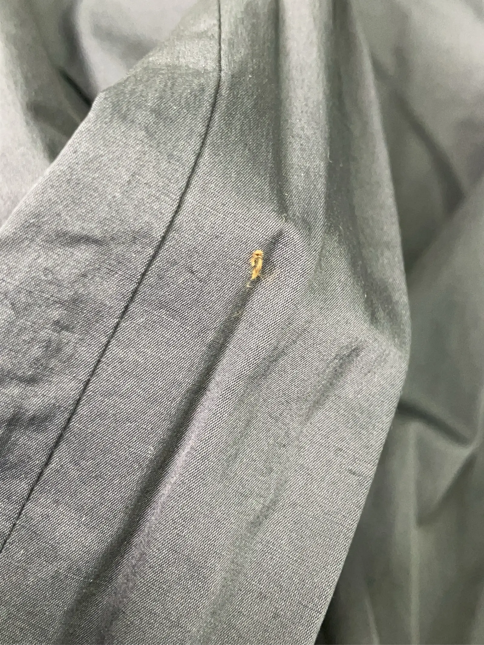 https://r2-worker.digdig.jp/product/18f379a0-e86f-4dc7-b8cf-3342890c2a75/2949519e-543c-4145-88b1-f1924f61de93