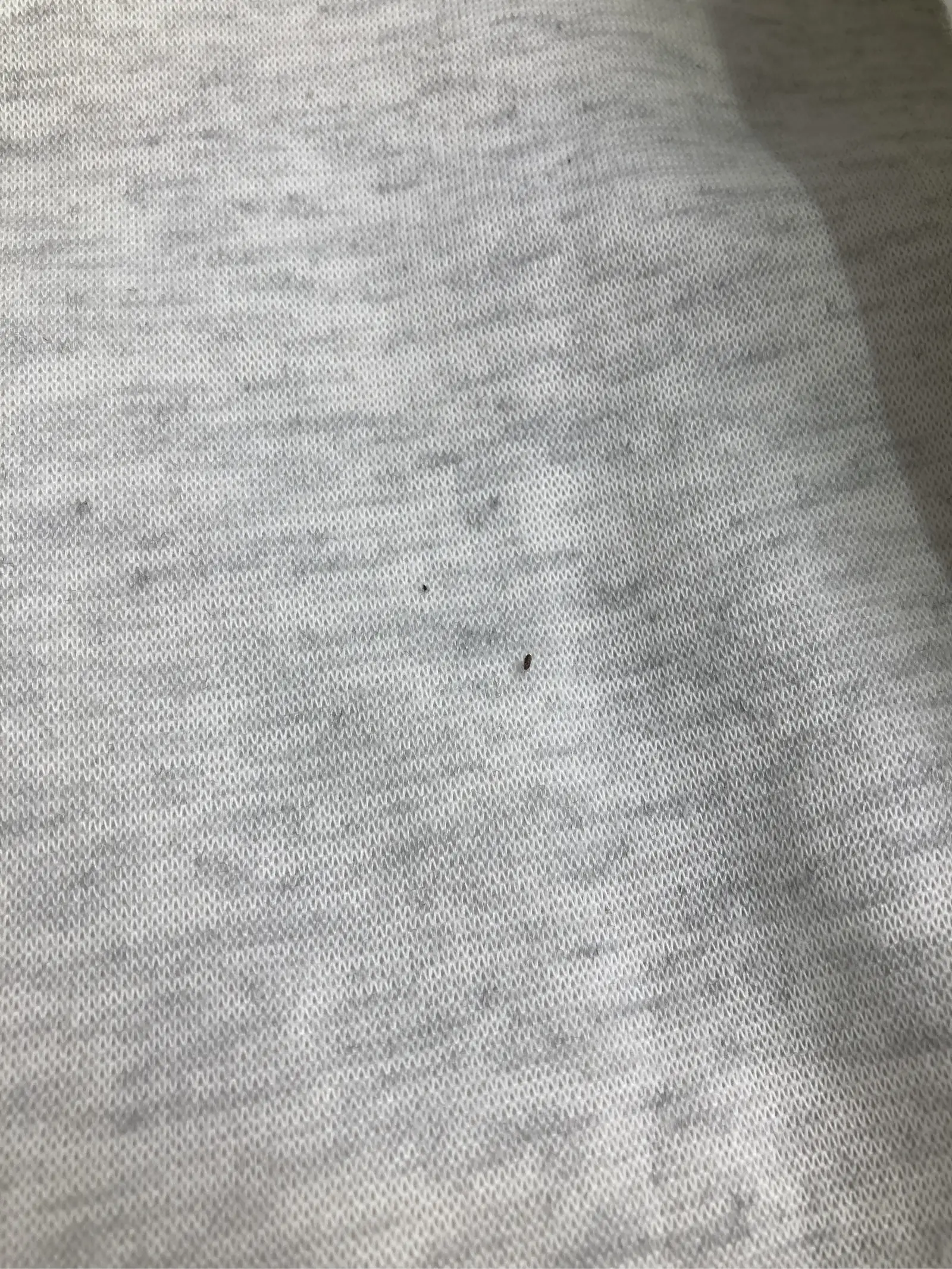 https://r2-worker.digdig.jp/product/1f6109ff-f907-43c8-af18-62e4f4b4ad40/f73ff542-459b-4770-bbb9-c7fb6dbb3e46