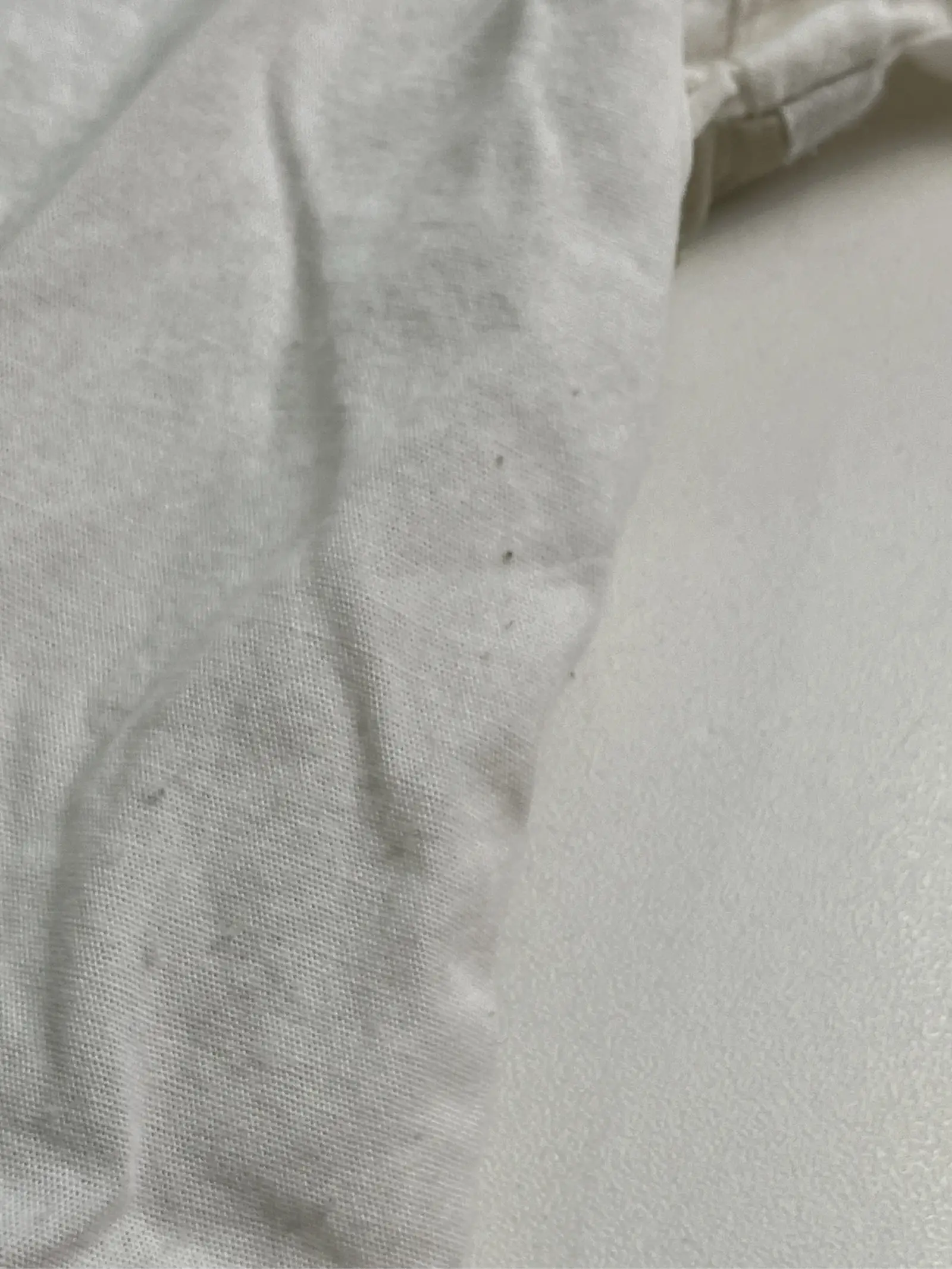 https://r2-worker.digdig.jp/product/207f4626-a272-4640-b338-d35e5cebfd2b/8f56641d-2764-45dc-9c45-f6353ff0c612