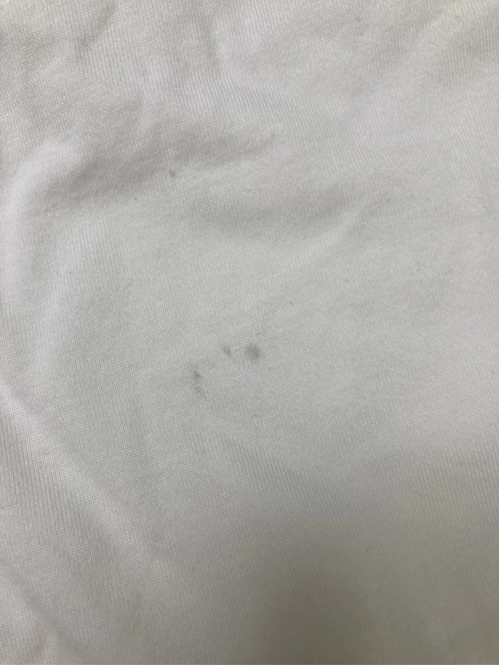 https://r2-worker.digdig.jp/product/245a2779-8e45-4765-a00b-f0586d734b19/75b79c26-e9a6-4361-a70d-eda08b8fc32b