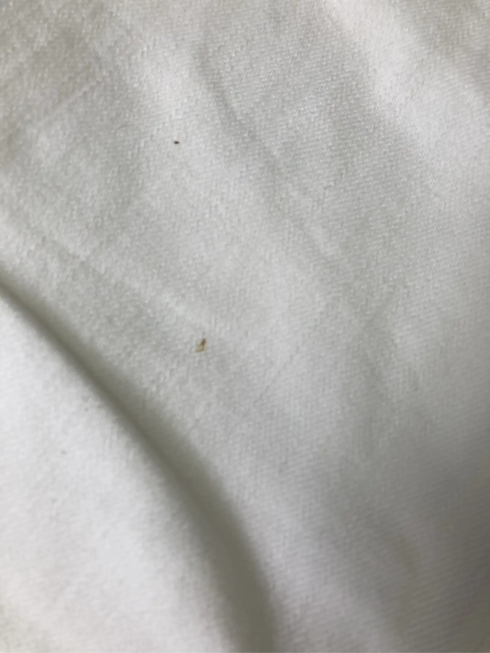 https://r2-worker.digdig.jp/product/249b5de1-c3ff-4465-916e-41af501b3205/63c97495-21af-4292-a256-72ebc2b3843a