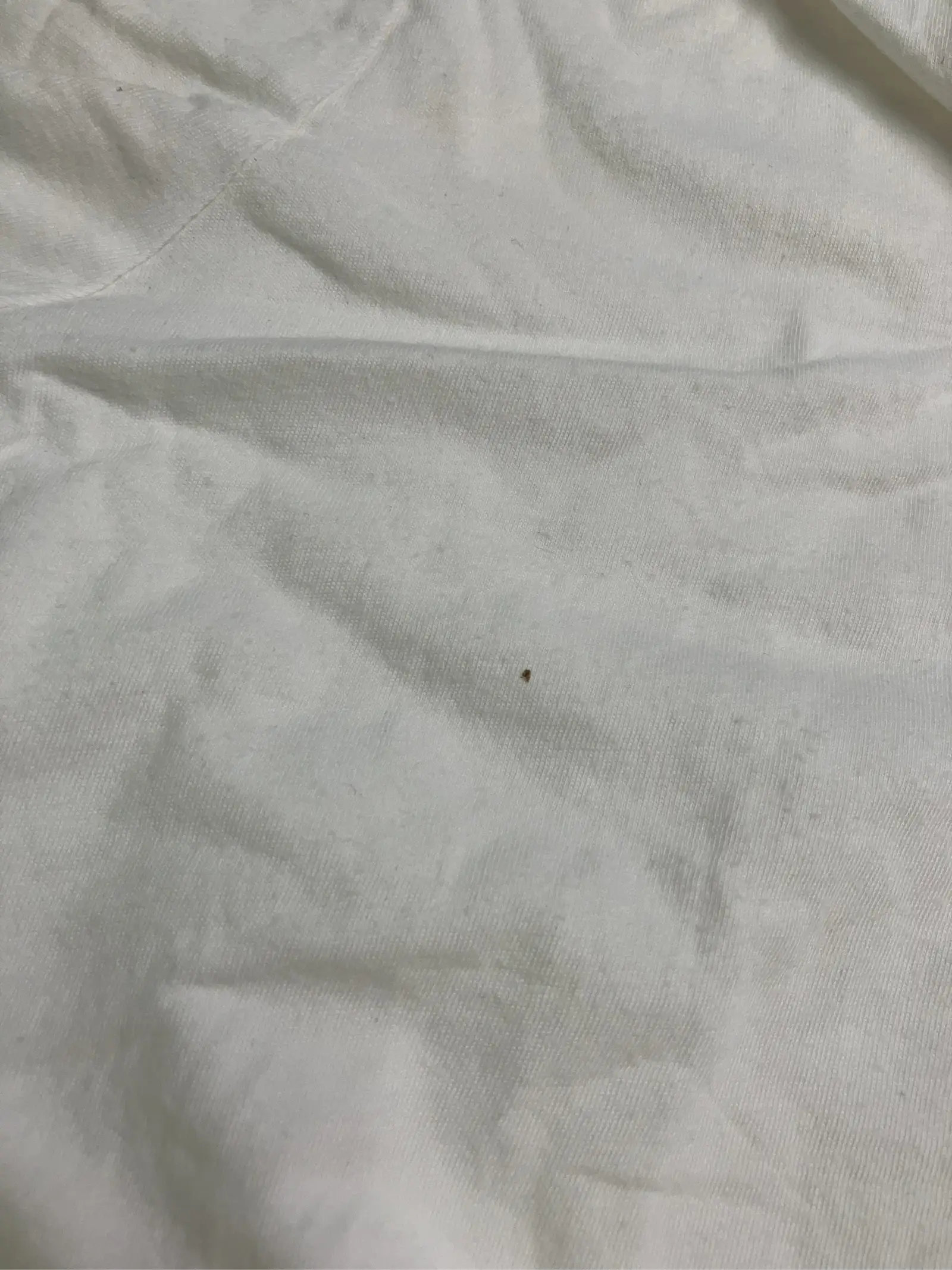https://r2-worker.digdig.jp/product/2590e328-e1cc-44be-9dce-99ceedf7cf01/9d6662a3-6519-4112-b720-4bb418171298
