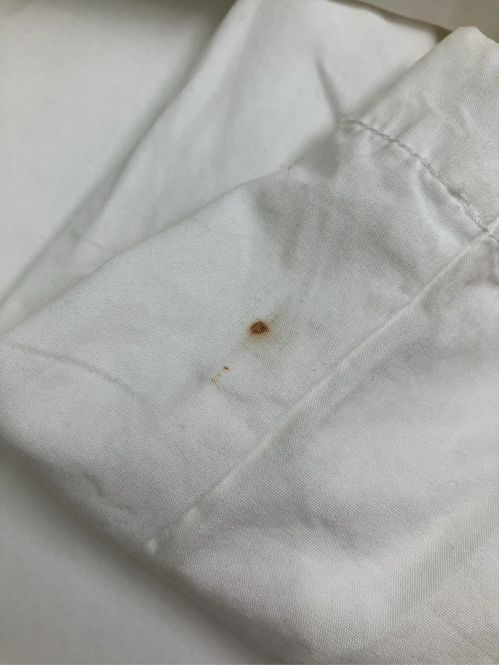 https://r2-worker.digdig.jp/product/26726cb3-7d22-4cc3-a172-3a69dd841557/26ab50b8-f4b3-4570-91e1-0308ec2381d7