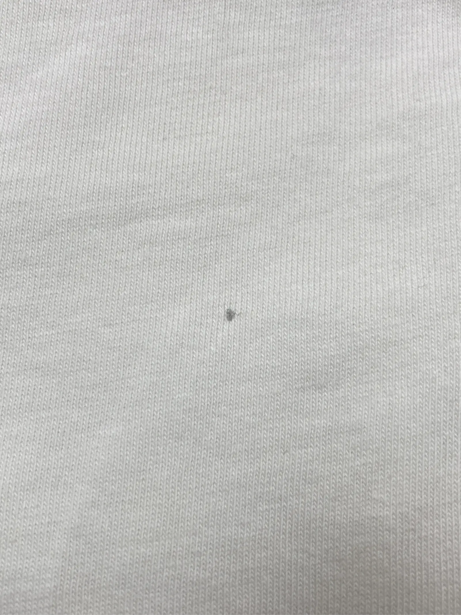 https://r2-worker.digdig.jp/product/2efbea16-1672-4365-9677-21788c2de881/24093677-e522-4a4f-a920-7556d75b0e39