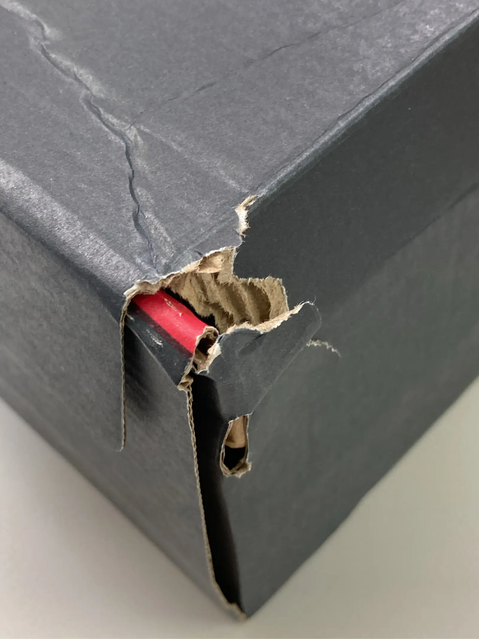 https://r2-worker.digdig.jp/product/32d21f2e-4eee-406b-8016-f54a90f89ba6/cd5c8b59-ae80-4c5d-b984-1f709c82e655