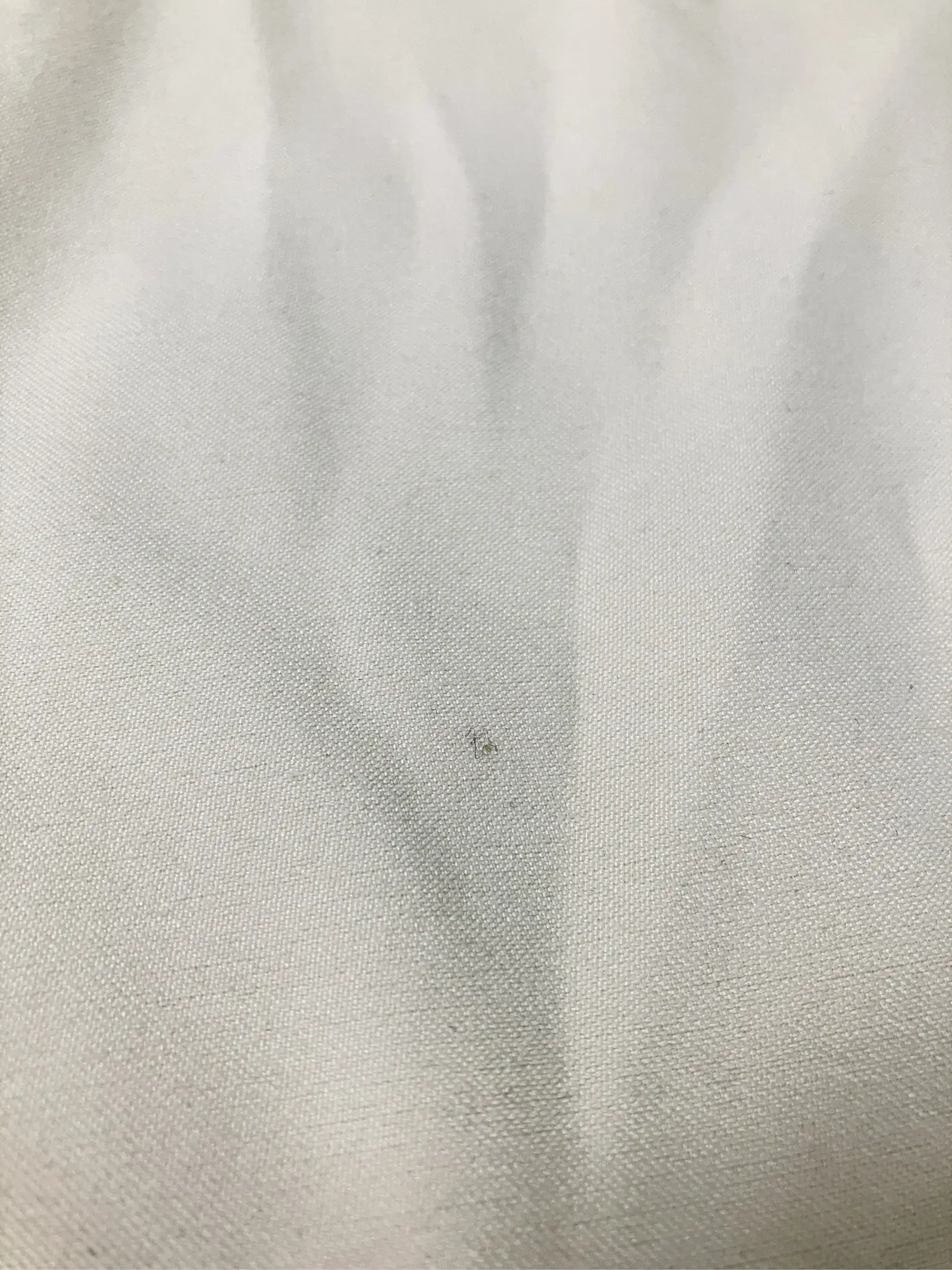 https://r2-worker.digdig.jp/product/341971b1-66c5-4b9b-8971-bb63cc066858/c1d8a21c-c9fd-4627-ab44-04cc5f48a520