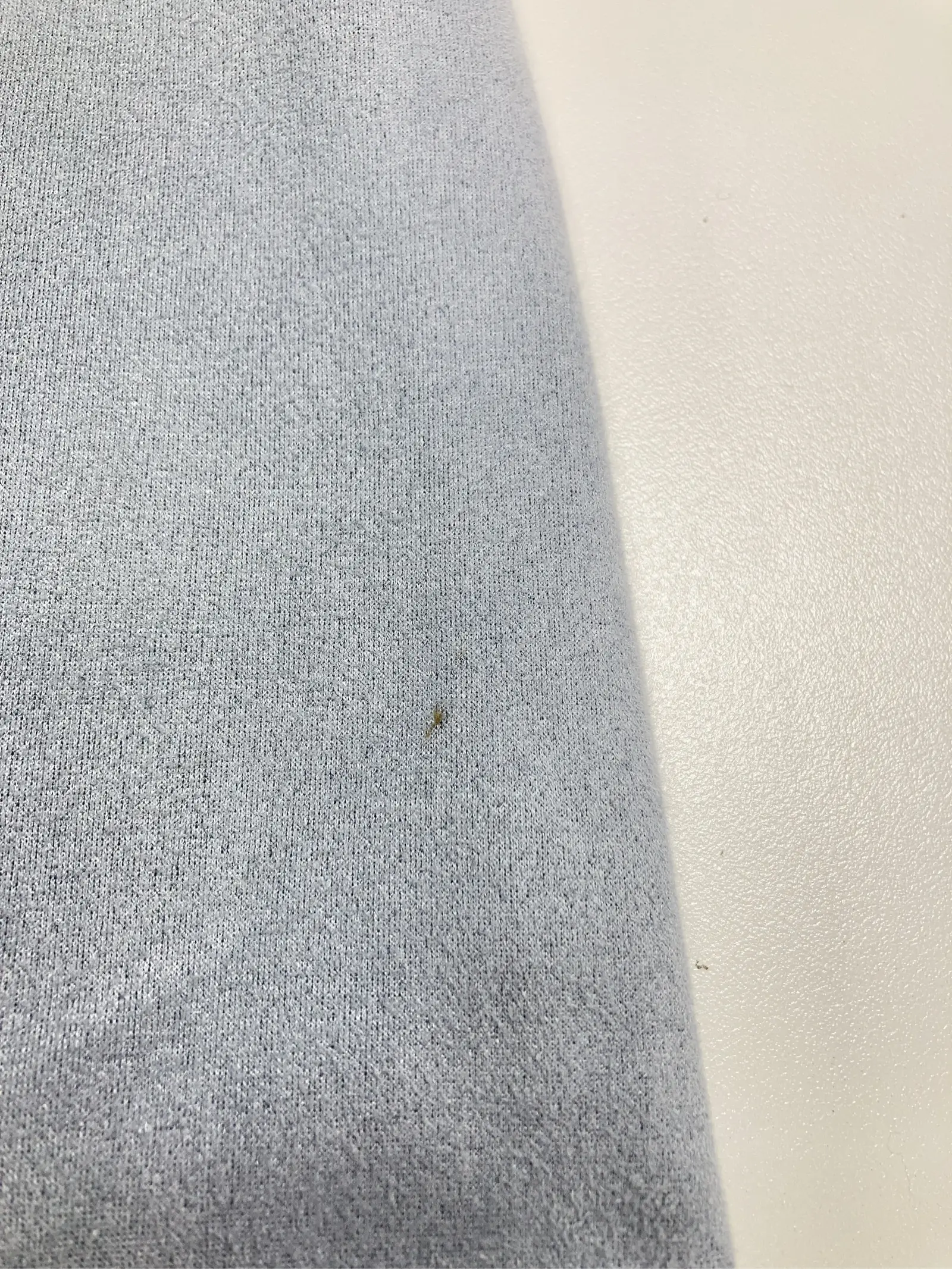 https://r2-worker.digdig.jp/product/40ed3ed9-1e73-4745-a909-818806b9ad67/3aae584b-948d-4c7c-8849-370911611320