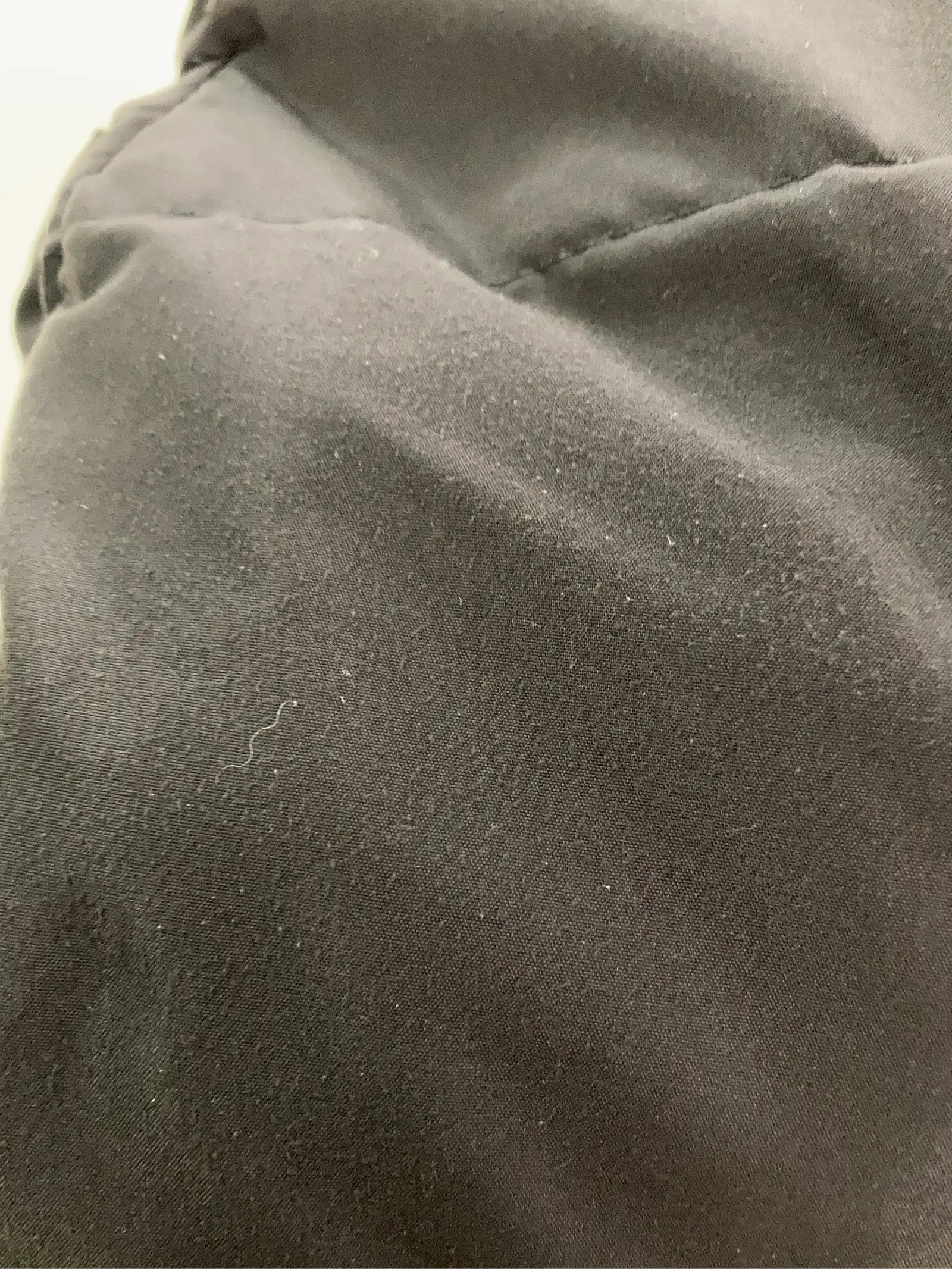 https://r2-worker.digdig.jp/product/4585113c-0f51-4127-b40b-e229c3c4d3f3/6b989207-76b9-49d5-a4b0-b5e000ec20e0