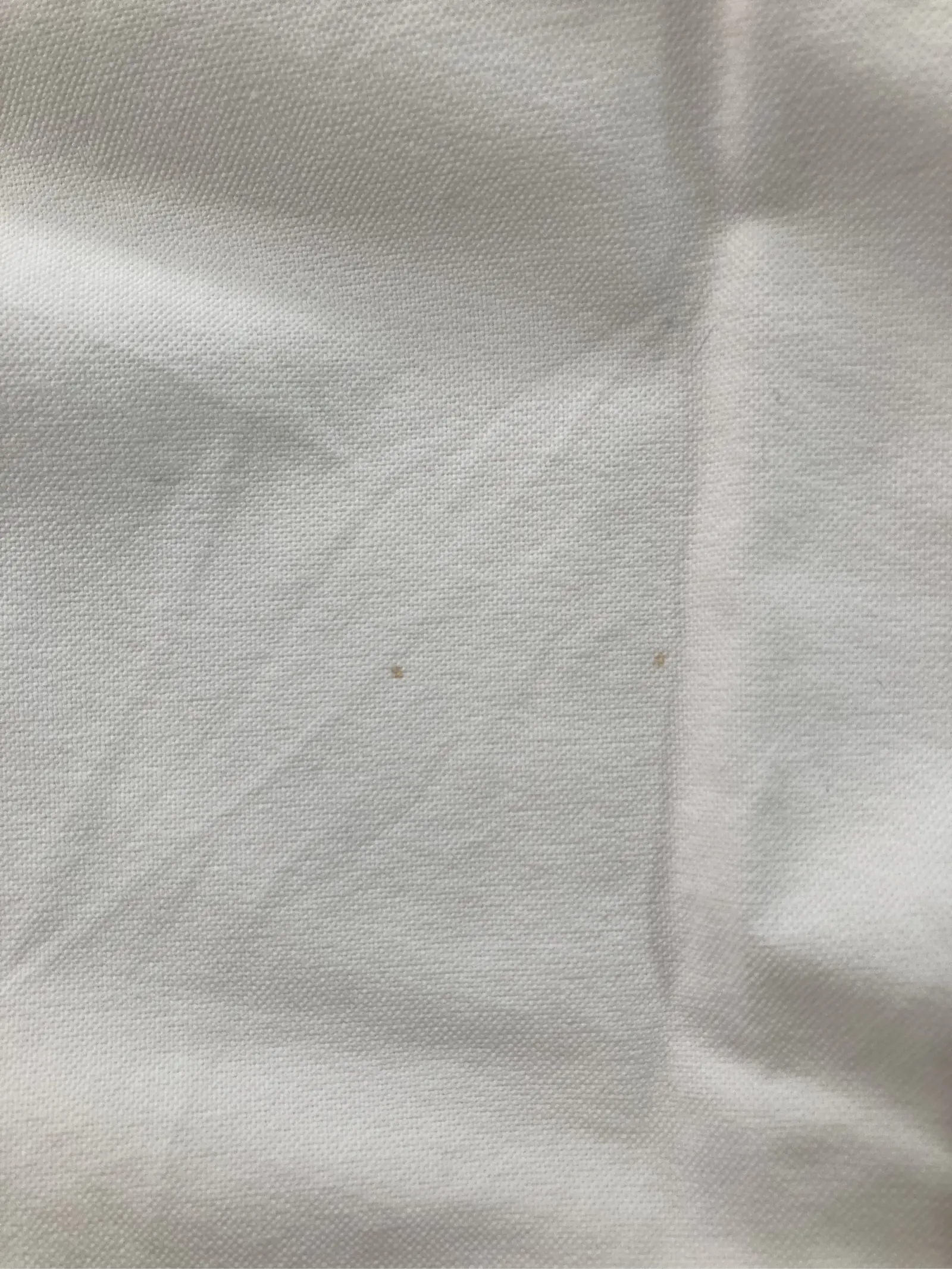 https://r2-worker.digdig.jp/product/4595cad3-2b19-4085-be7e-67f7e41af8c8/531e25a5-f74e-4c12-8bbc-d533e4c55e2c