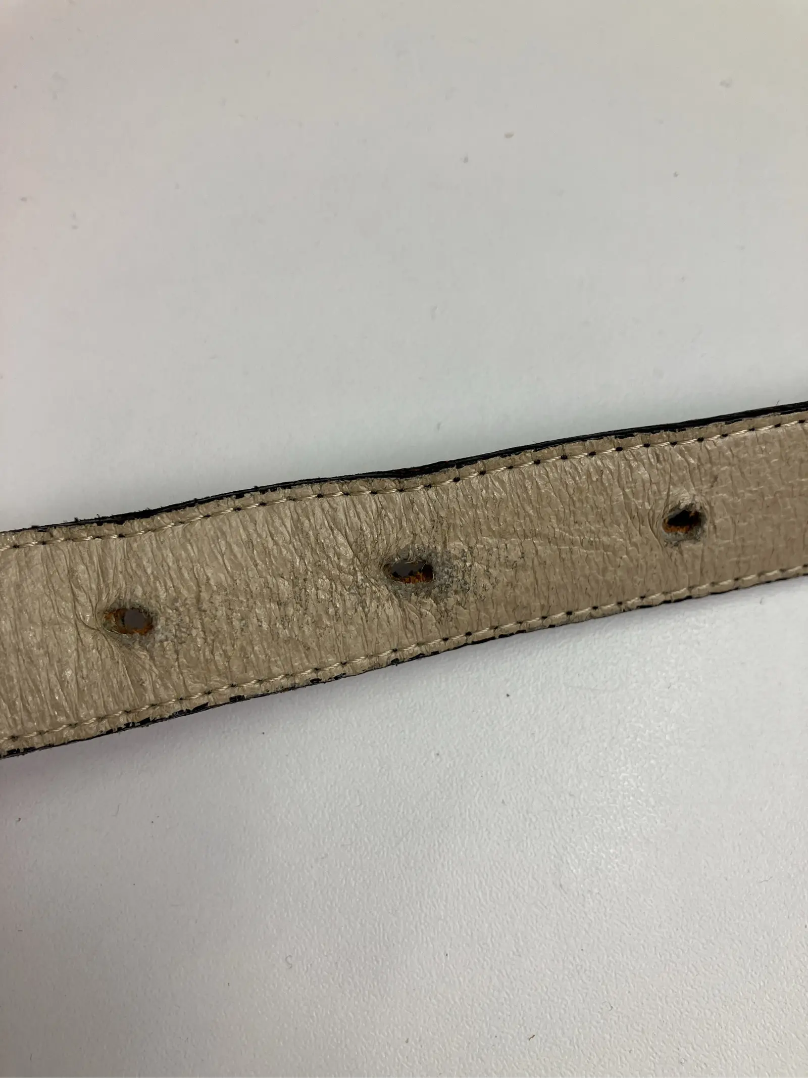 https://r2-worker.digdig.jp/product/4aee9dc0-dab9-4fef-bb99-3bb81a26da3e/2aee686f-6de7-4ad8-b4c7-76685ef6b293