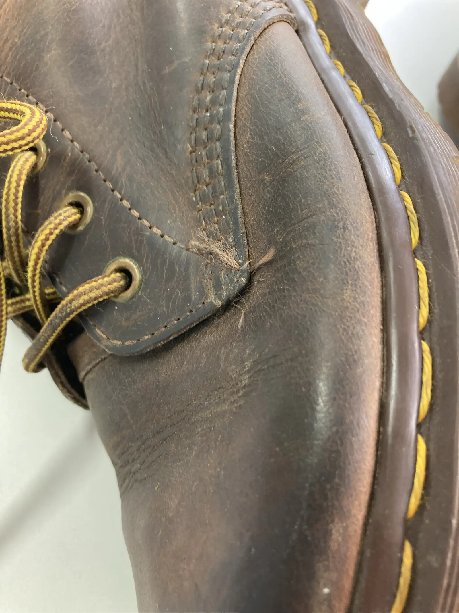 https://r2-worker.digdig.jp/product/502445a2-95de-4402-9151-270e7a61b483/9433762a-dbd2-4c84-990c-de75b46c7375