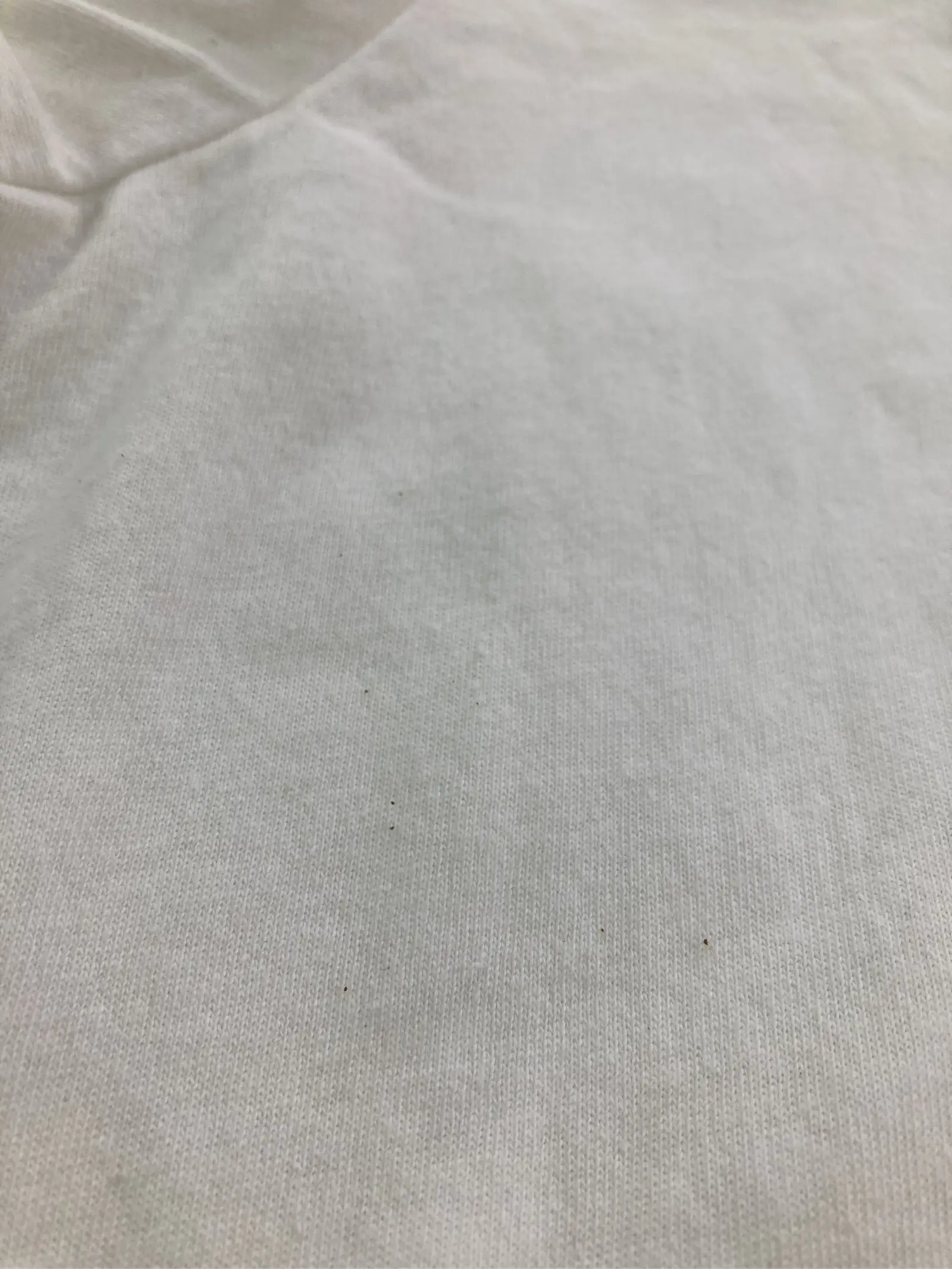 https://r2-worker.digdig.jp/product/508c9332-fe04-4707-a5e3-2c973b0a256a/f3f8c0c7-c526-4e96-bb08-aaeeef43742f