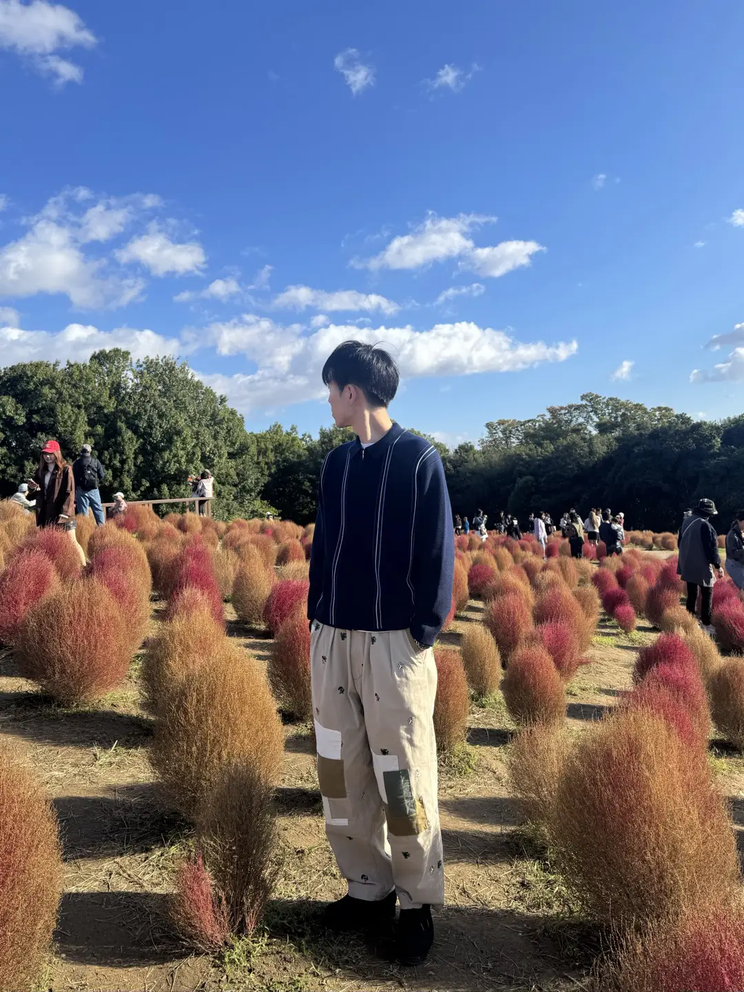 https://r2-worker.digdig.jp/product/51035973-3dfc-4474-9adb-1646c96cbc4e/a648803d-5178-40aa-929a-0cc0f94051c5