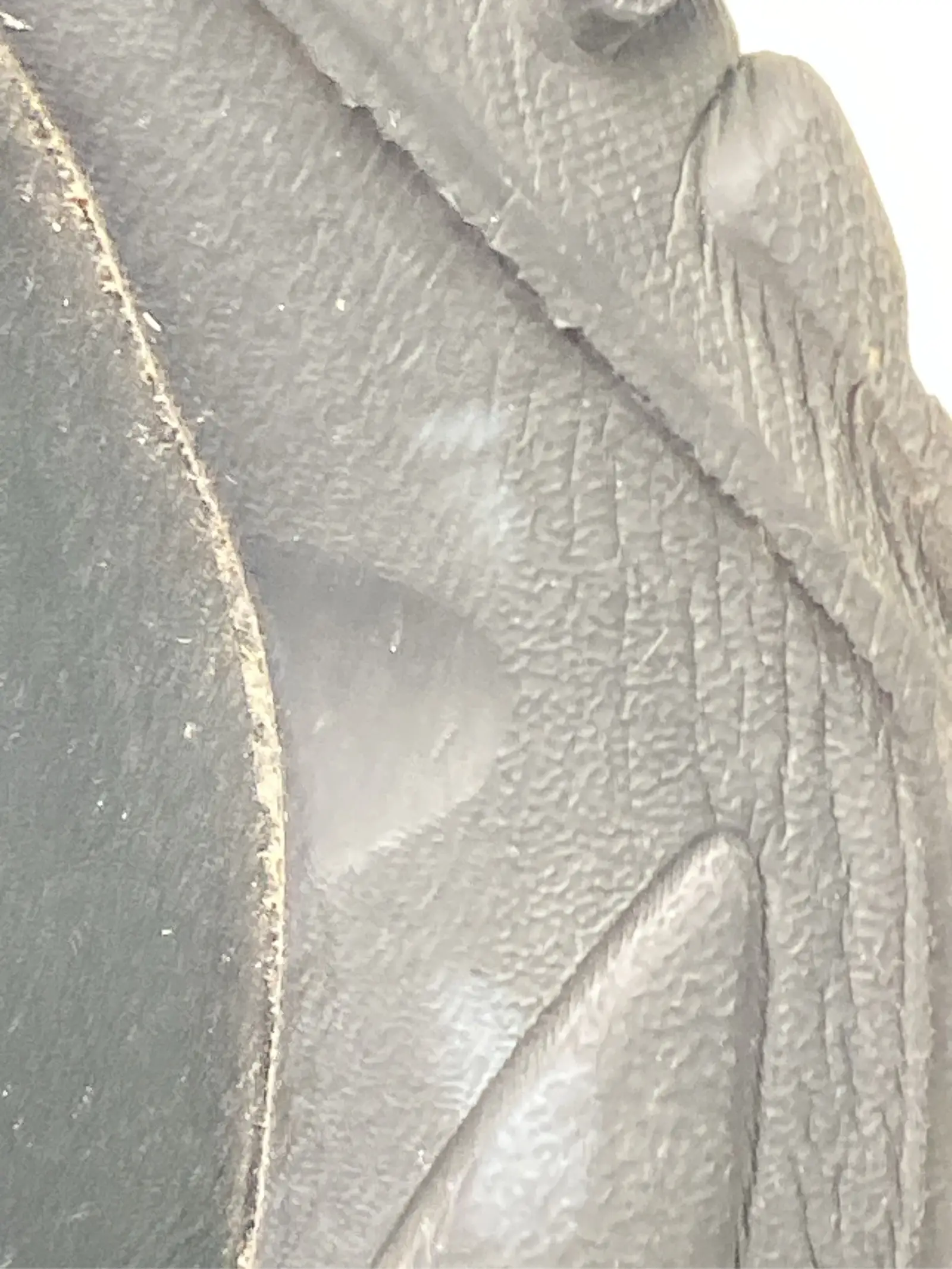 https://r2-worker.digdig.jp/product/515c1518-1eac-4e82-99bf-309365cf5aca/38d84feb-ece9-45de-a590-4b9f6e096b55