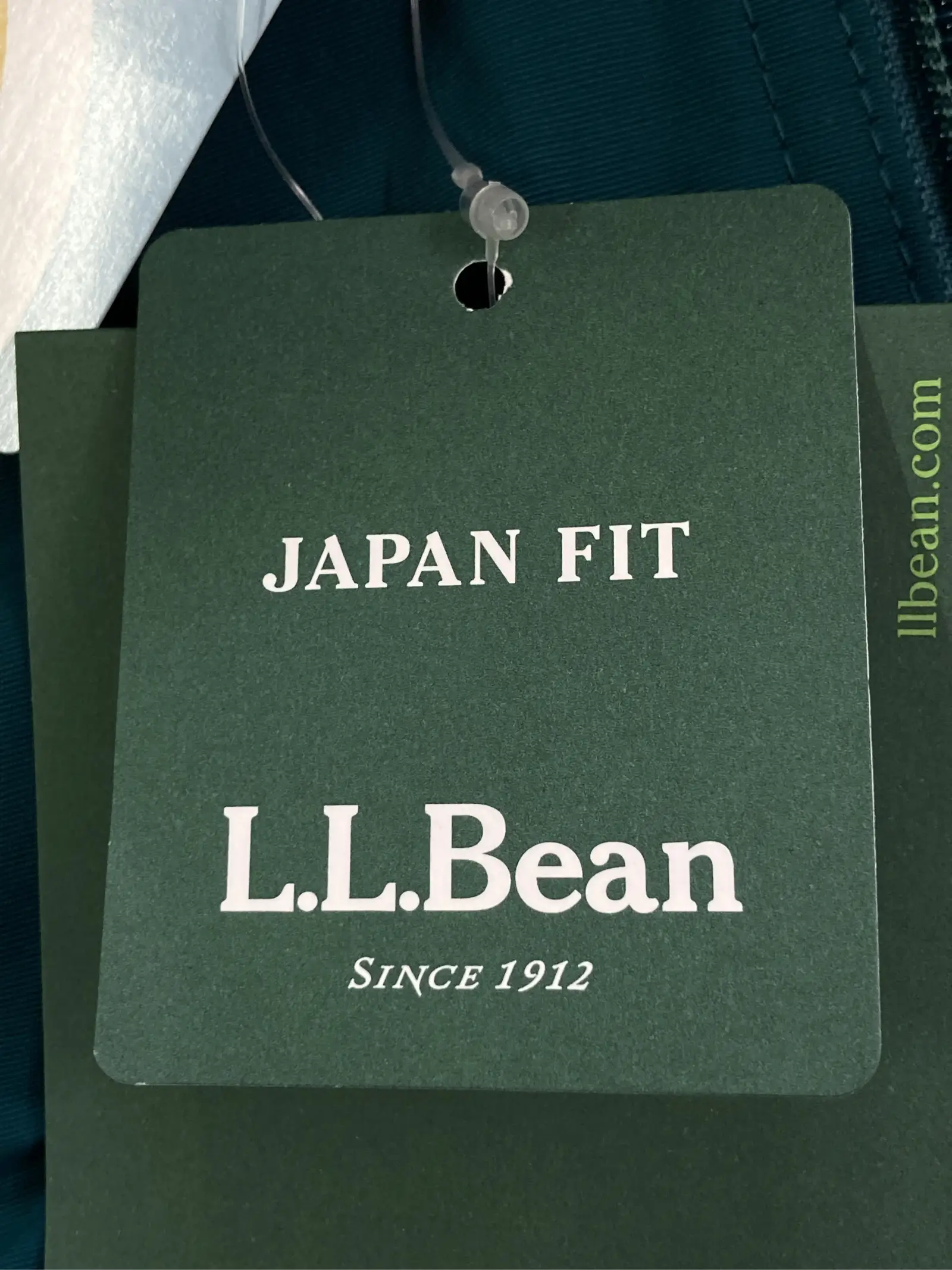 https://r2-worker.digdig.jp/product/52d128a0-e931-4006-a6a8-ea5fe1cbf333/48f02e4f-bbdd-4810-a278-d741e3dc9868