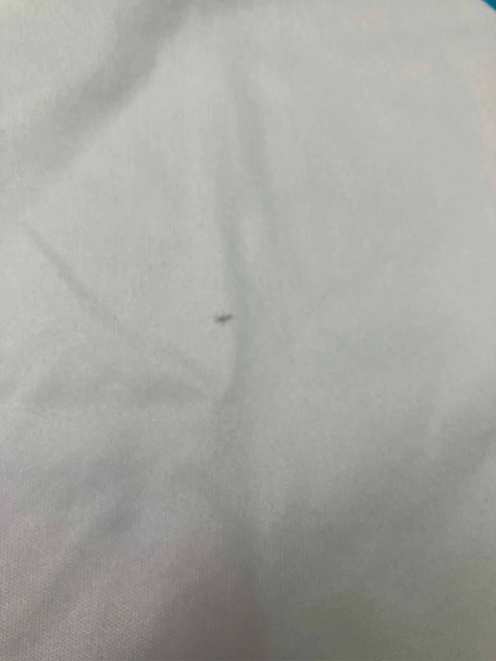https://r2-worker.digdig.jp/product/67392070-6c79-4267-b6cd-e2f4a8da880d/01d0a101-4a7f-4a03-b8d7-cd3eb3a536c7