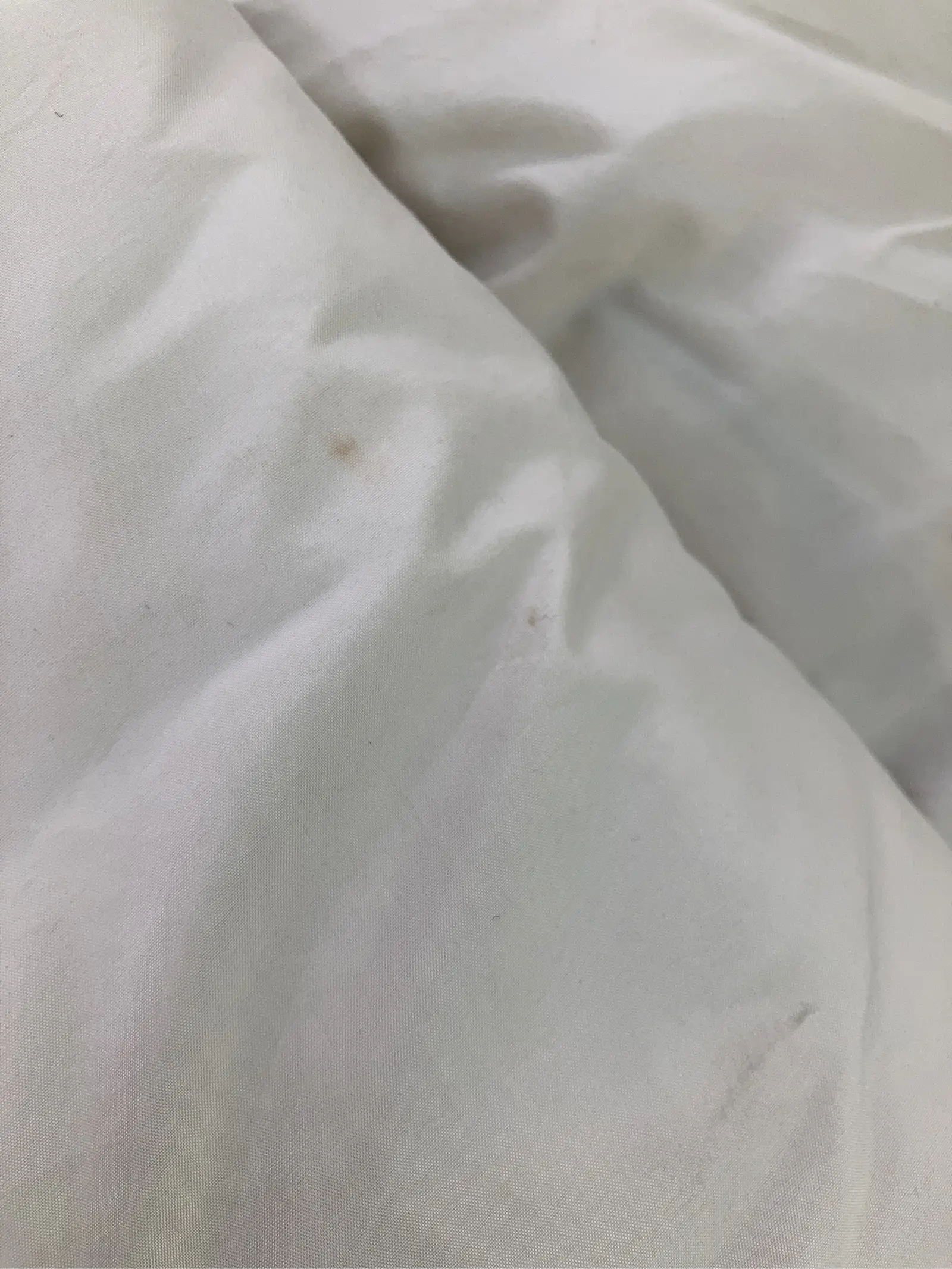 https://r2-worker.digdig.jp/product/67bef865-edfb-4c95-bda5-d86db6e27a21/d2e05001-fd15-4cb7-8c16-559b2f4e3066