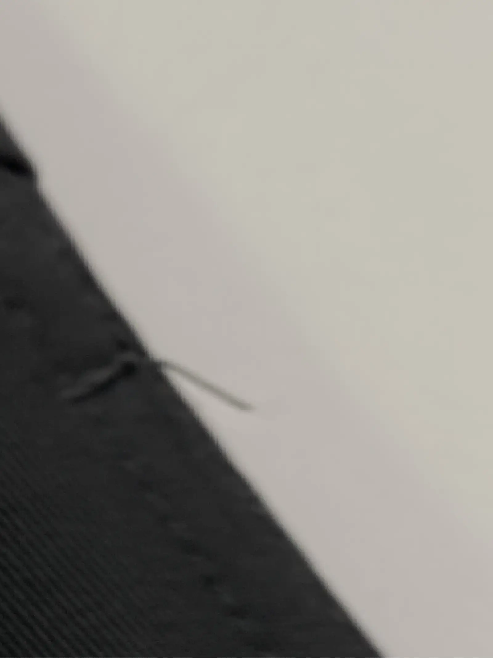 https://r2-worker.digdig.jp/product/6843146d-0205-47ae-9b5f-d5c34f4a24a4/eb7b1444-fb1a-4243-8b15-d9d48dbc8a93