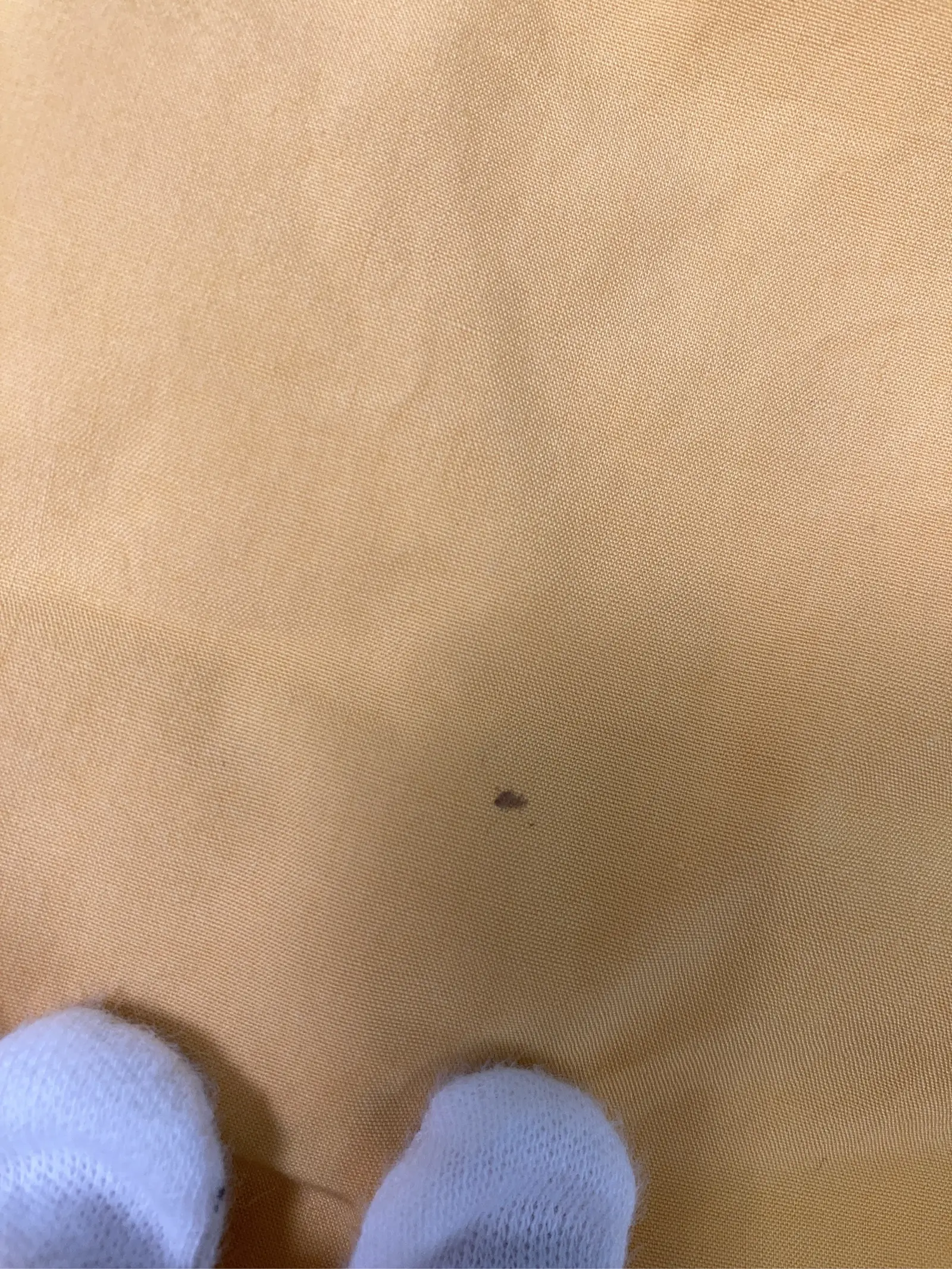 https://r2-worker.digdig.jp/product/749c9b88-d125-4c9f-8210-a9e6ab8717af/347d12f5-0fd7-4637-baca-b957804799af