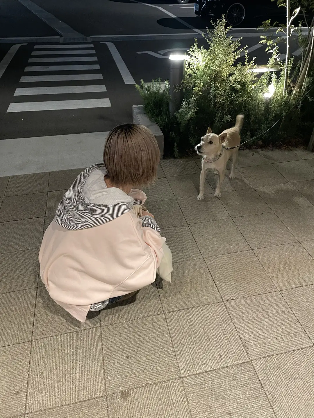 https://r2-worker.digdig.jp/product/79d7d70c-0e5d-4281-ba3c-8c92892e5396/b5e008ba-3cc2-471c-81e3-9d8043cca8f0