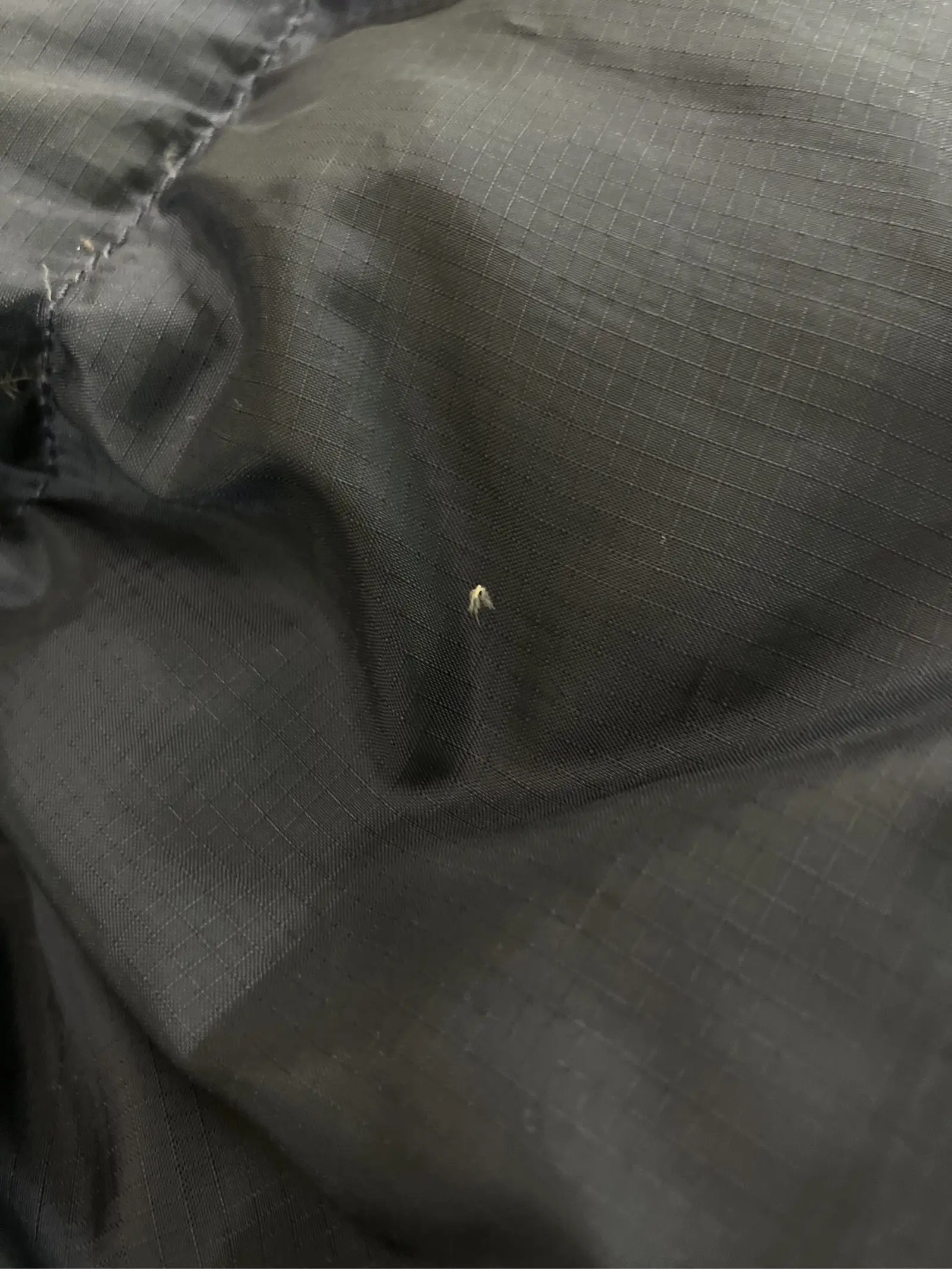 https://r2-worker.digdig.jp/product/7d714b17-8884-40b3-9f71-1aee0b9b57c8/a5169574-0f19-4abc-b565-1026a4367229