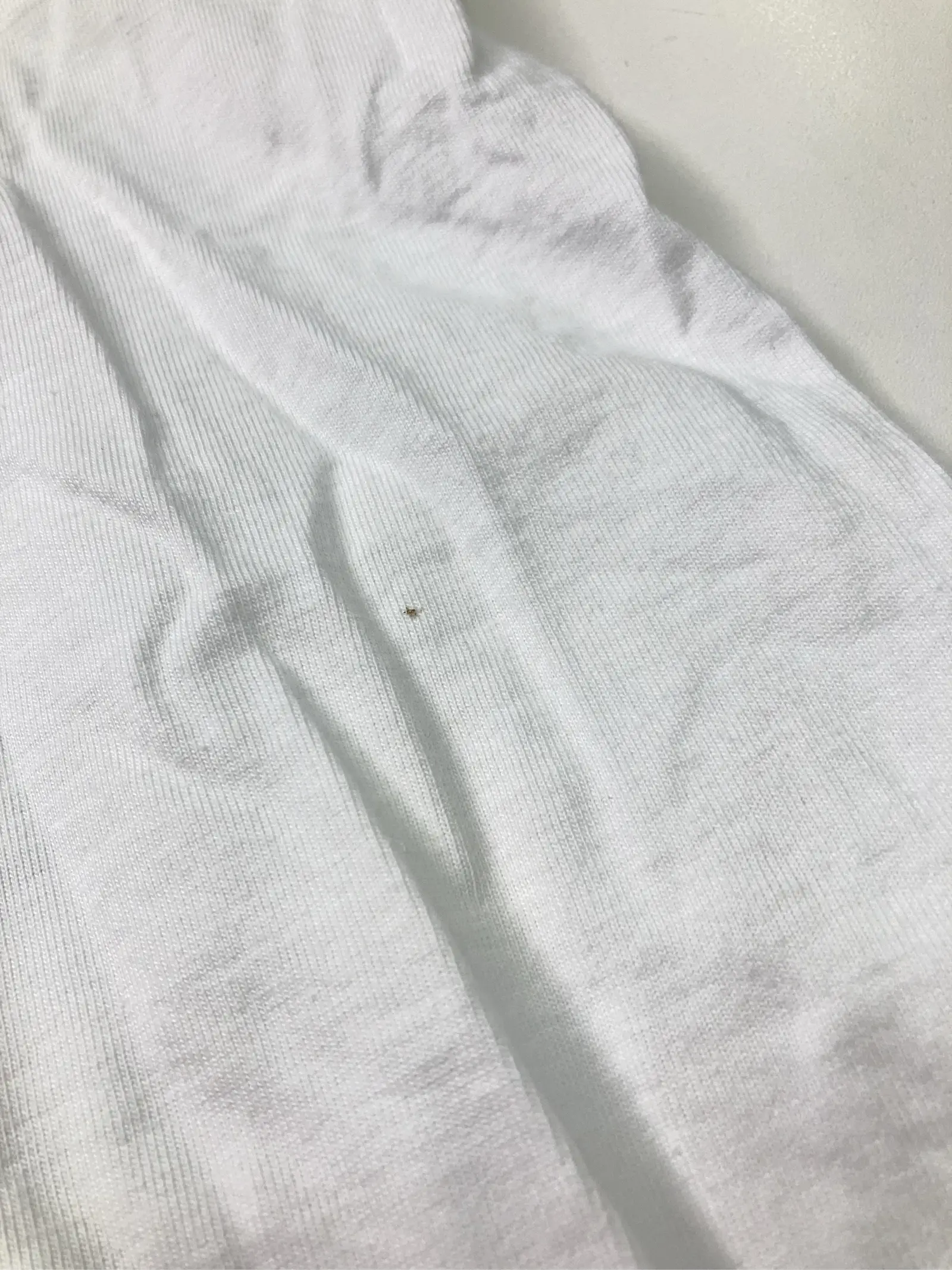 https://r2-worker.digdig.jp/product/89b82559-b4a6-4396-9bfa-f5156b24c2f4/0064b56b-8ac7-44a4-9463-338ab2cdb4e9