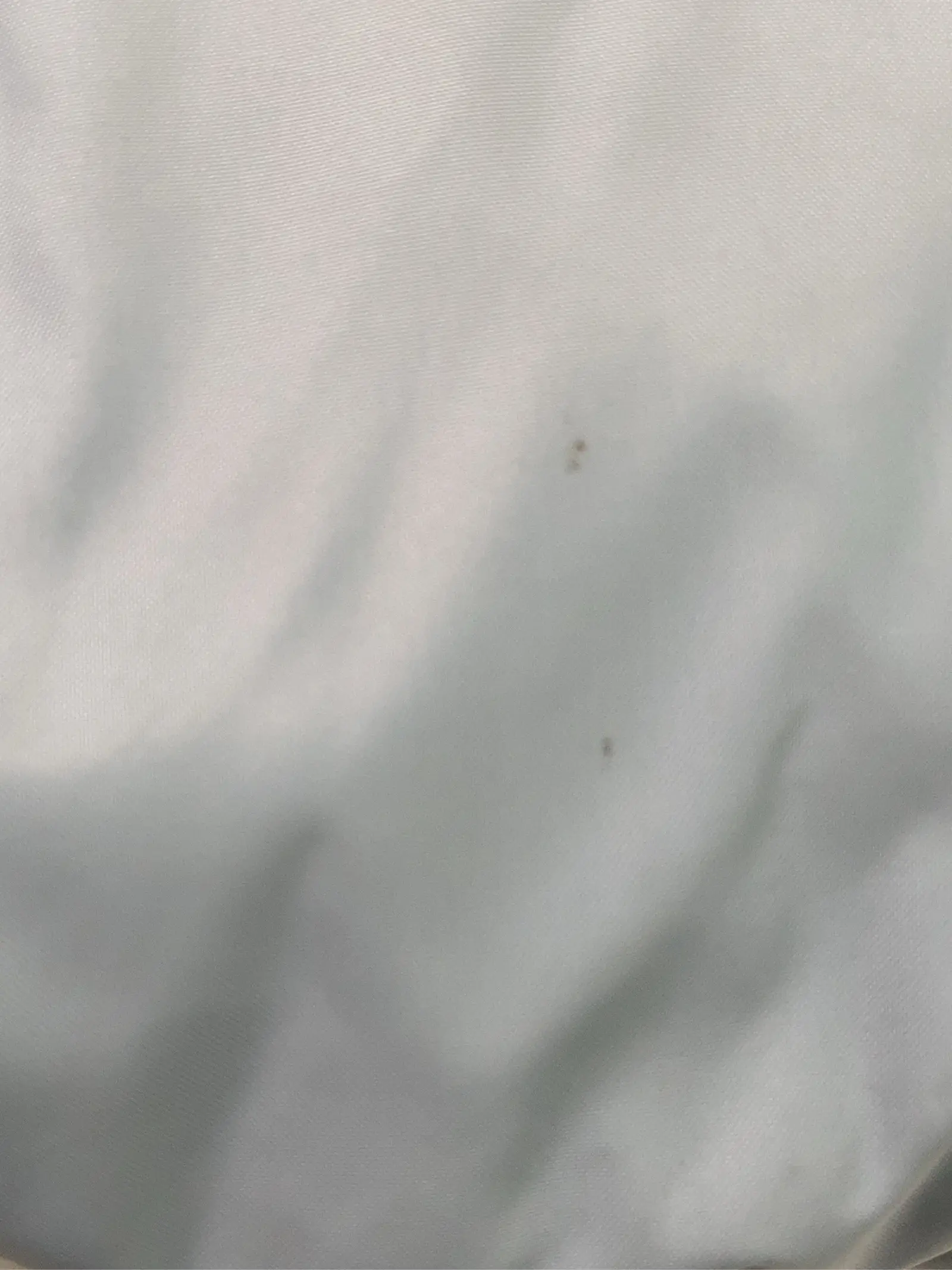 https://r2-worker.digdig.jp/product/89baf0ae-ee6d-4b85-b840-829407244bb3/c301f29e-2608-41e1-8566-567532b7bf6a