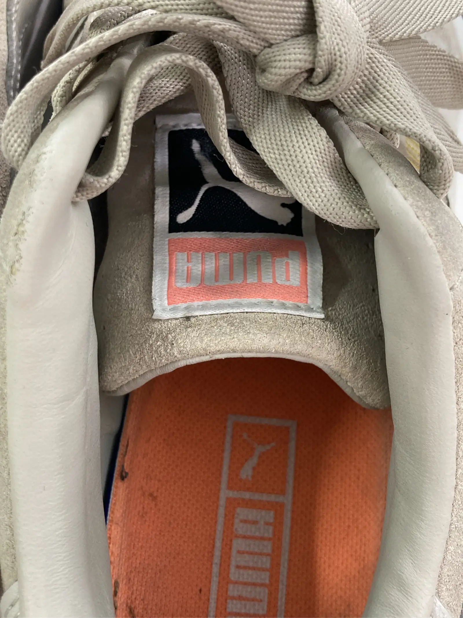 https://r2-worker.digdig.jp/product/901bb32f-f9e5-4f6d-bb80-705a0ce93d79/f340fabe-9c5b-4d50-8d66-1fa8a2f9f35e