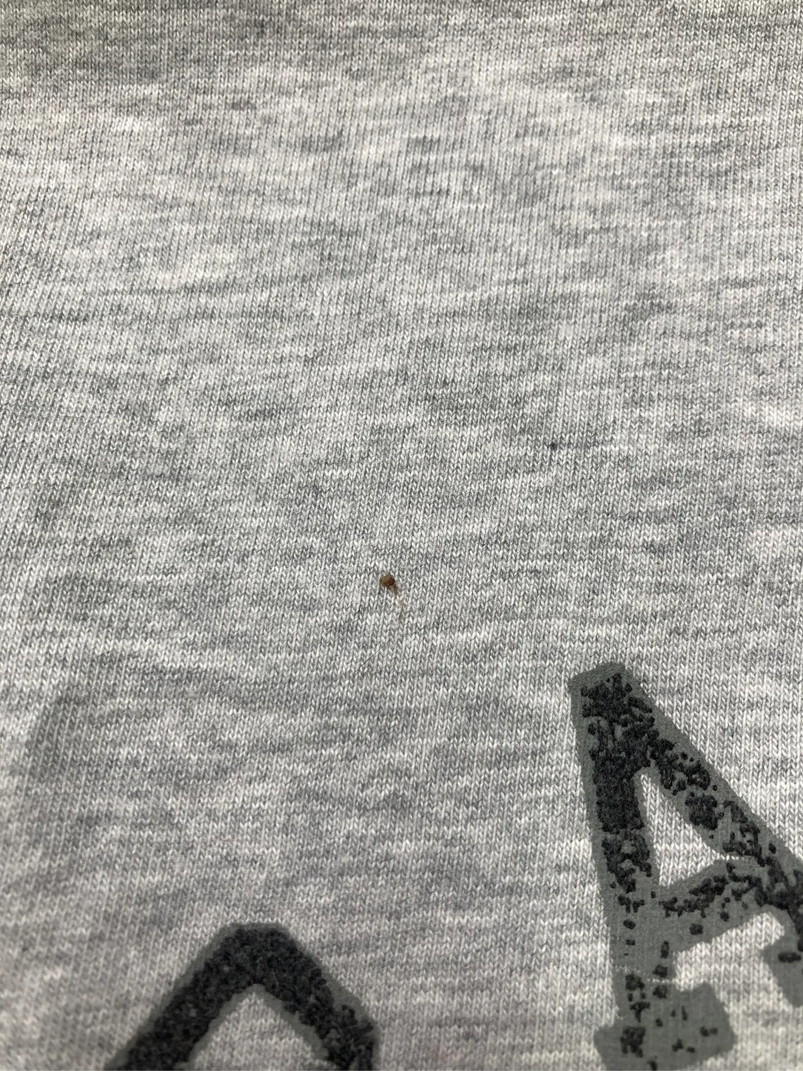 https://r2-worker.digdig.jp/product/99e285e3-a5a2-4b2f-94d5-d09243c5cb68/d9b81038-7b42-4b62-b310-a30601f7626a