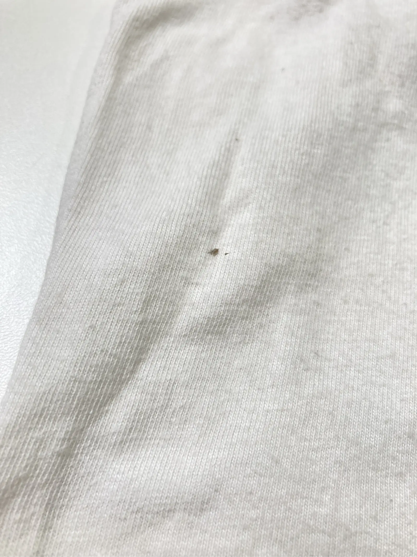 https://r2-worker.digdig.jp/product/9af55702-0066-4dc7-b57c-994a2c65cf59/7a68336d-9817-44b8-8337-bf50558200af