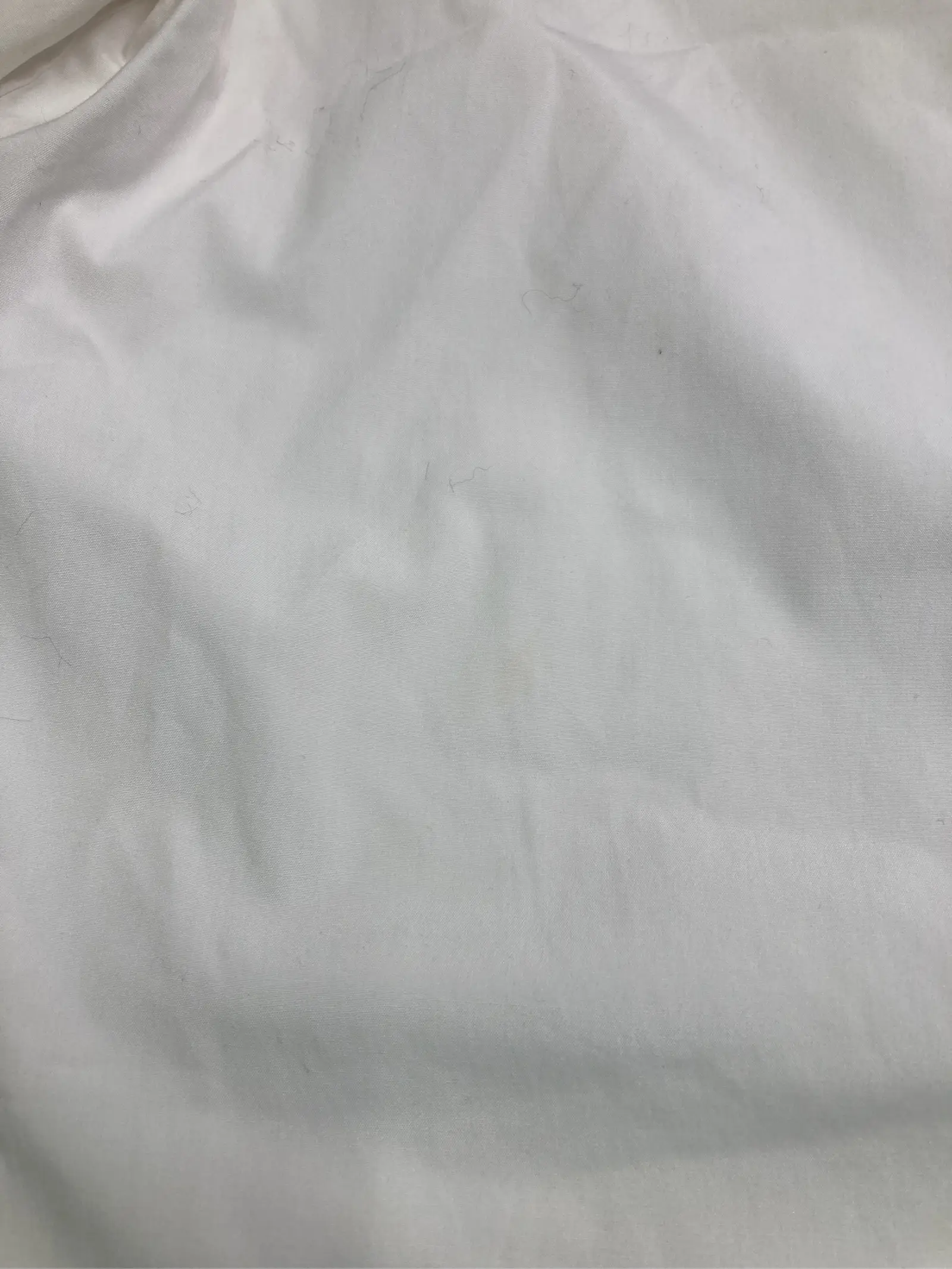 https://r2-worker.digdig.jp/product/9d7da128-fe24-4a9c-a993-82e31b44fe95/0d2dd7be-52e6-4cd9-b2b9-6dce9b41387f