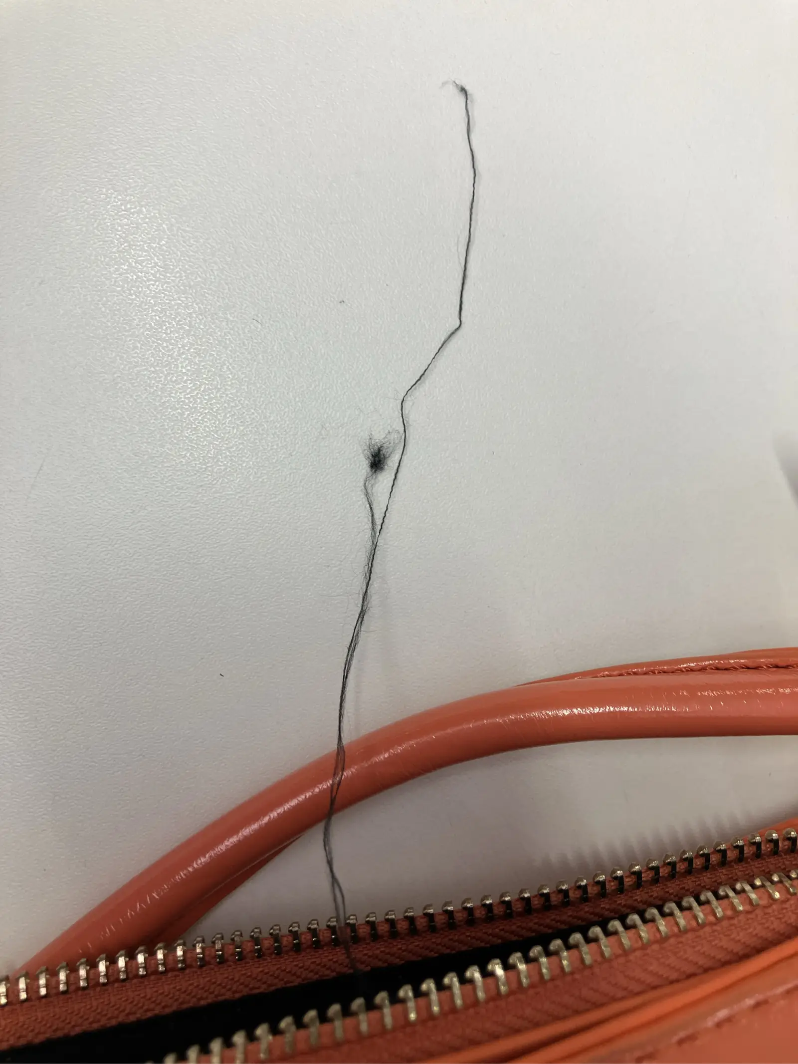 https://r2-worker.digdig.jp/product/a0aadbbb-ffcf-411b-be0b-999880347fc3/1942a140-e1ba-4f2a-b60c-77bde805288f