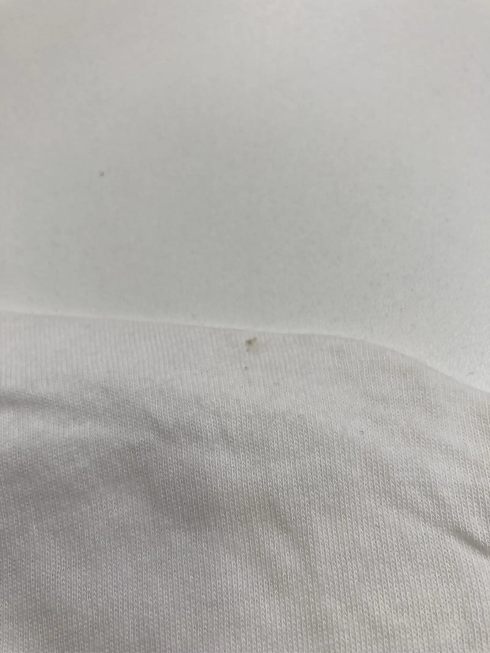 https://r2-worker.digdig.jp/product/a7eabffd-4f3a-424a-9c9b-a8fc89088962/05487658-37dd-478b-b8e4-e81ddbe87c90