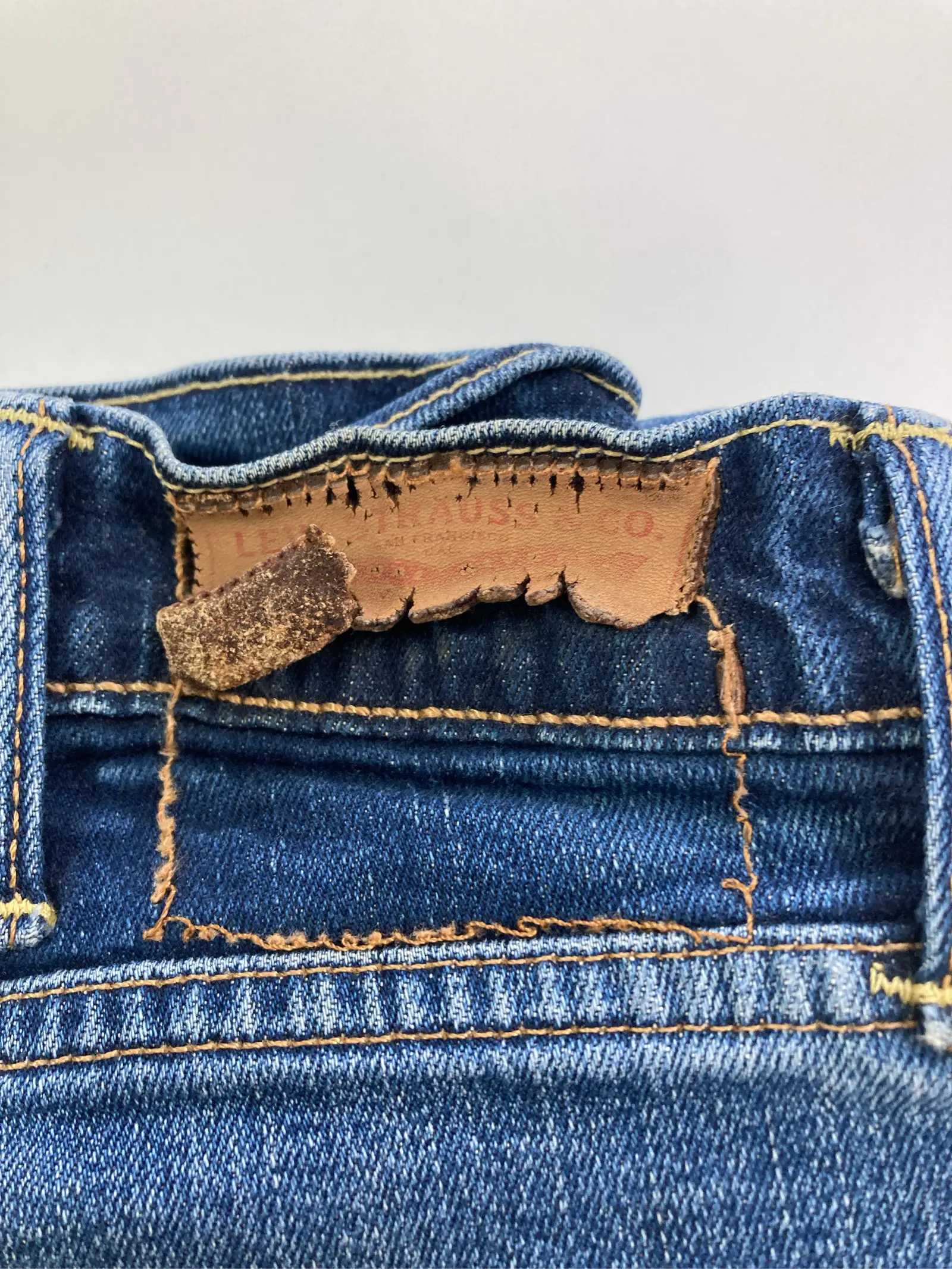 https://r2-worker.digdig.jp/product/a905aa50-12b9-48eb-b819-f77d7b9bda58/e409445d-b53a-4ffe-87b6-26db496f4ba2