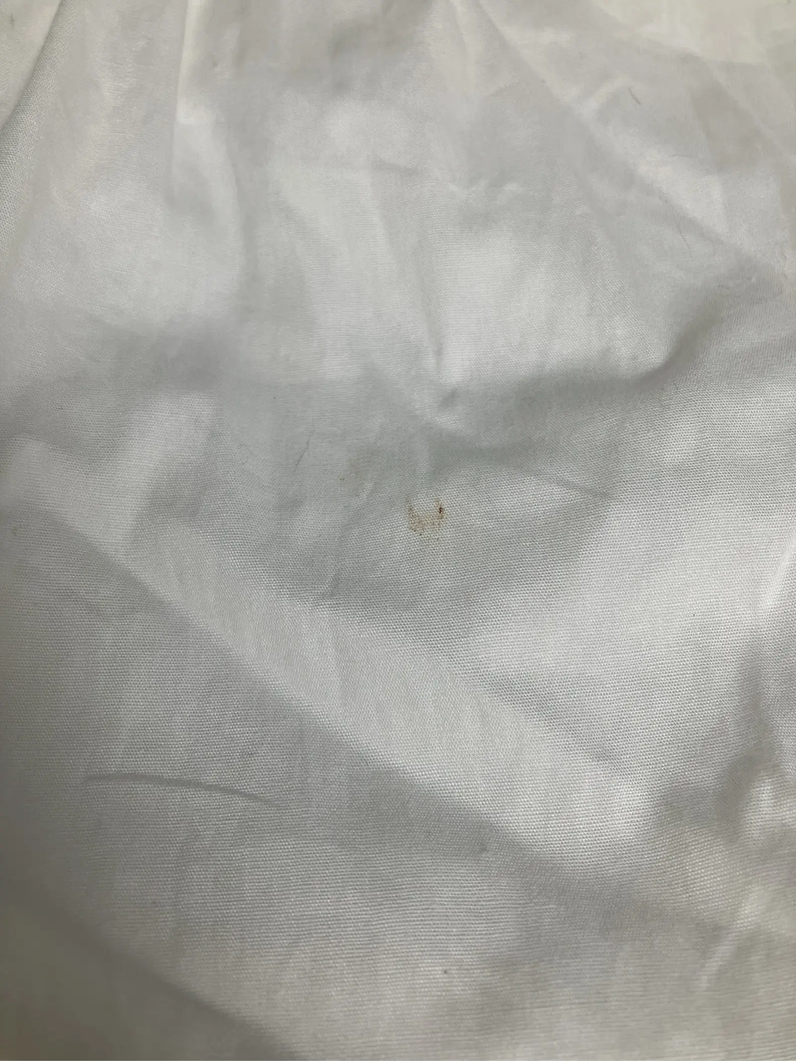 https://r2-worker.digdig.jp/product/a96a5216-bcaa-4e60-9590-7d795a565e9a/9dead40a-3cc3-42a4-a01f-e31ef661ee2f