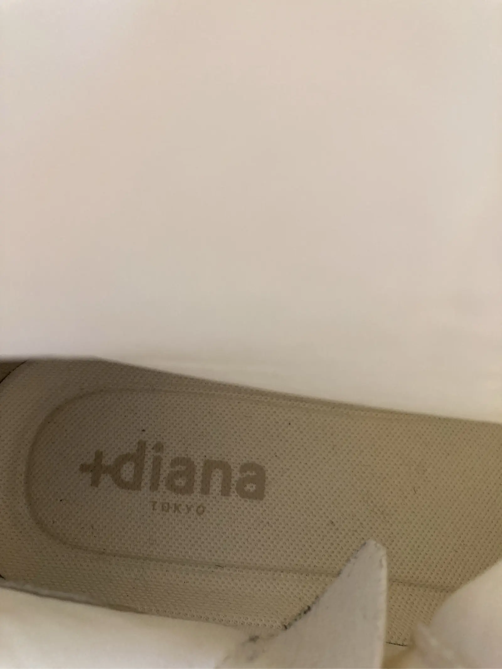 https://r2-worker.digdig.jp/product/adb7e86d-f170-4def-ad33-1f57b8bb50bf/bfe0cc41-b92a-4765-a333-5372642bb9ec