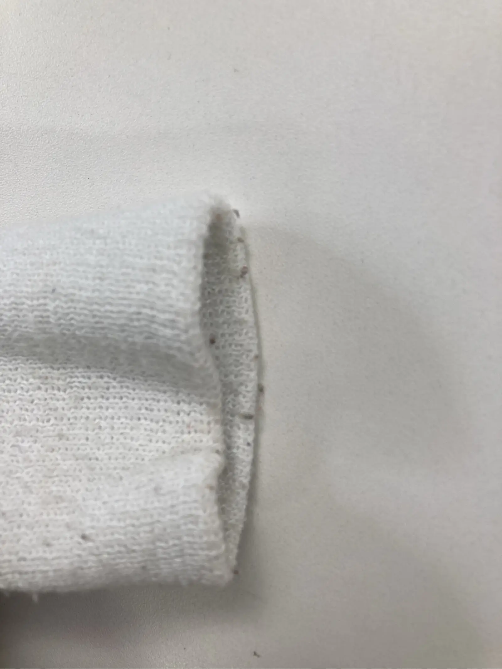 https://r2-worker.digdig.jp/product/b330069c-e5f8-41b2-9f8a-eba435897e67/16df6ae4-b2a7-4a4a-a143-d0d1ef7e6ab6