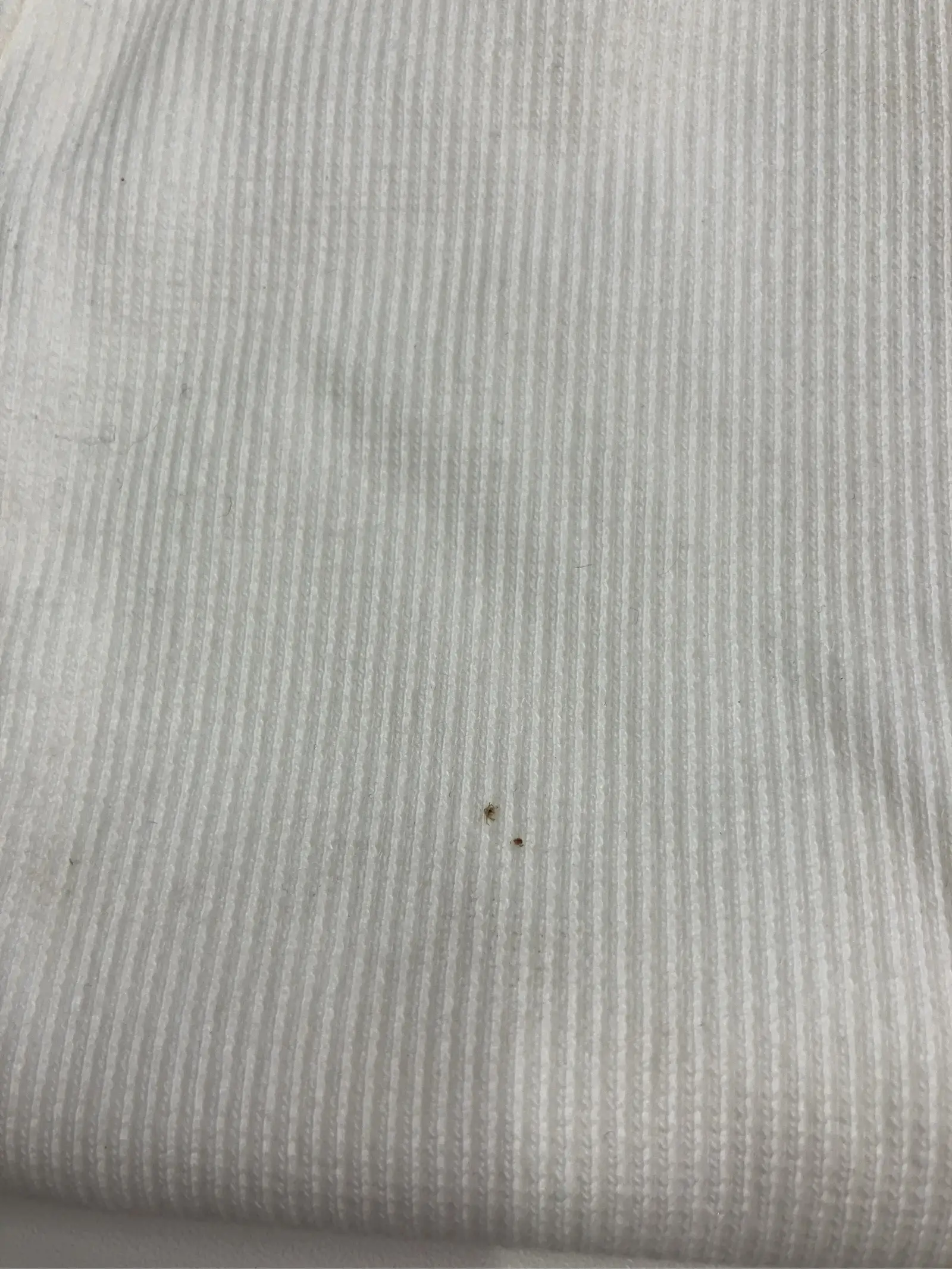 https://r2-worker.digdig.jp/product/b4c550f4-54d5-4870-a3c5-e364ab238876/1db1b0e6-80d4-41bc-83a1-3f4ddfab2771
