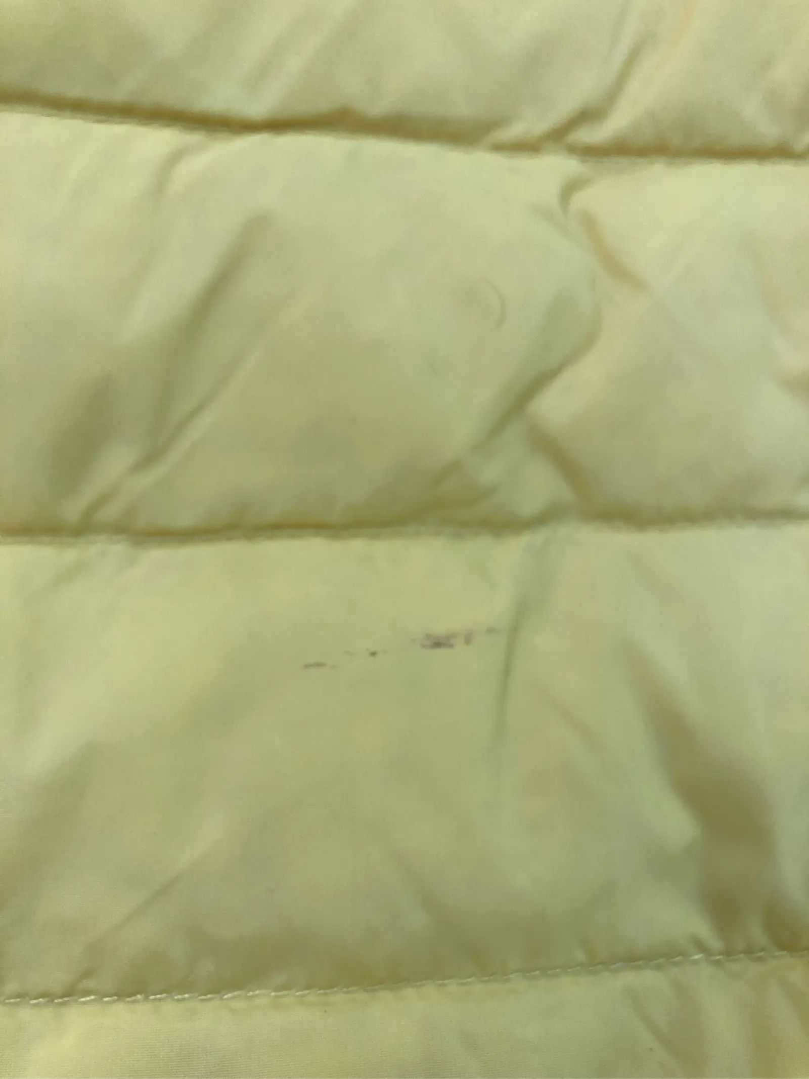 https://r2-worker.digdig.jp/product/b73c05a6-ec51-4359-a010-9945b77a2f59/27f59f86-1cbc-41fb-800a-b37c2f3b807e