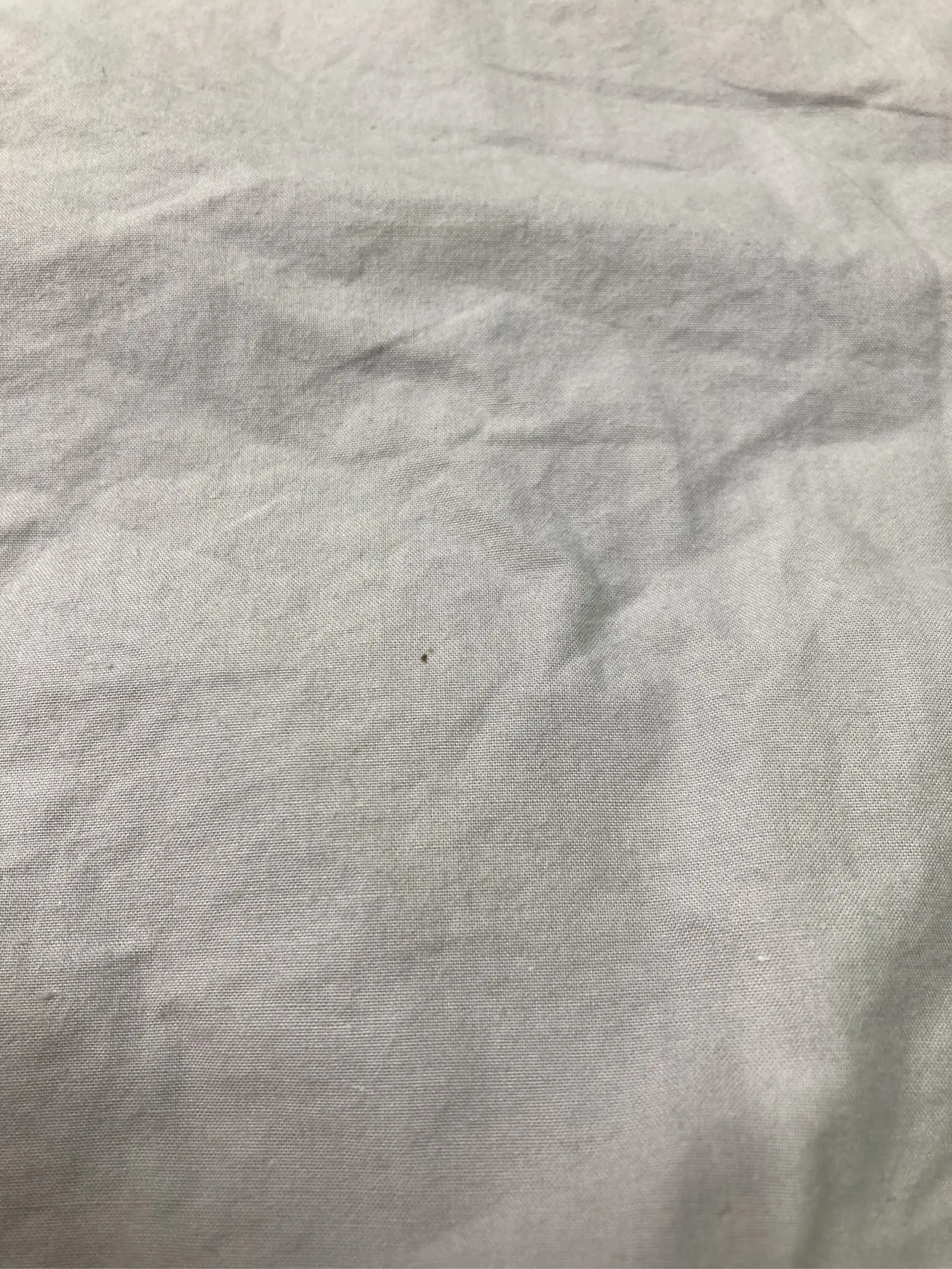 https://r2-worker.digdig.jp/product/bab3aeaa-5032-457f-84d6-16b54427fc98/37764f98-fcc6-4dd7-b445-d308e3783a06