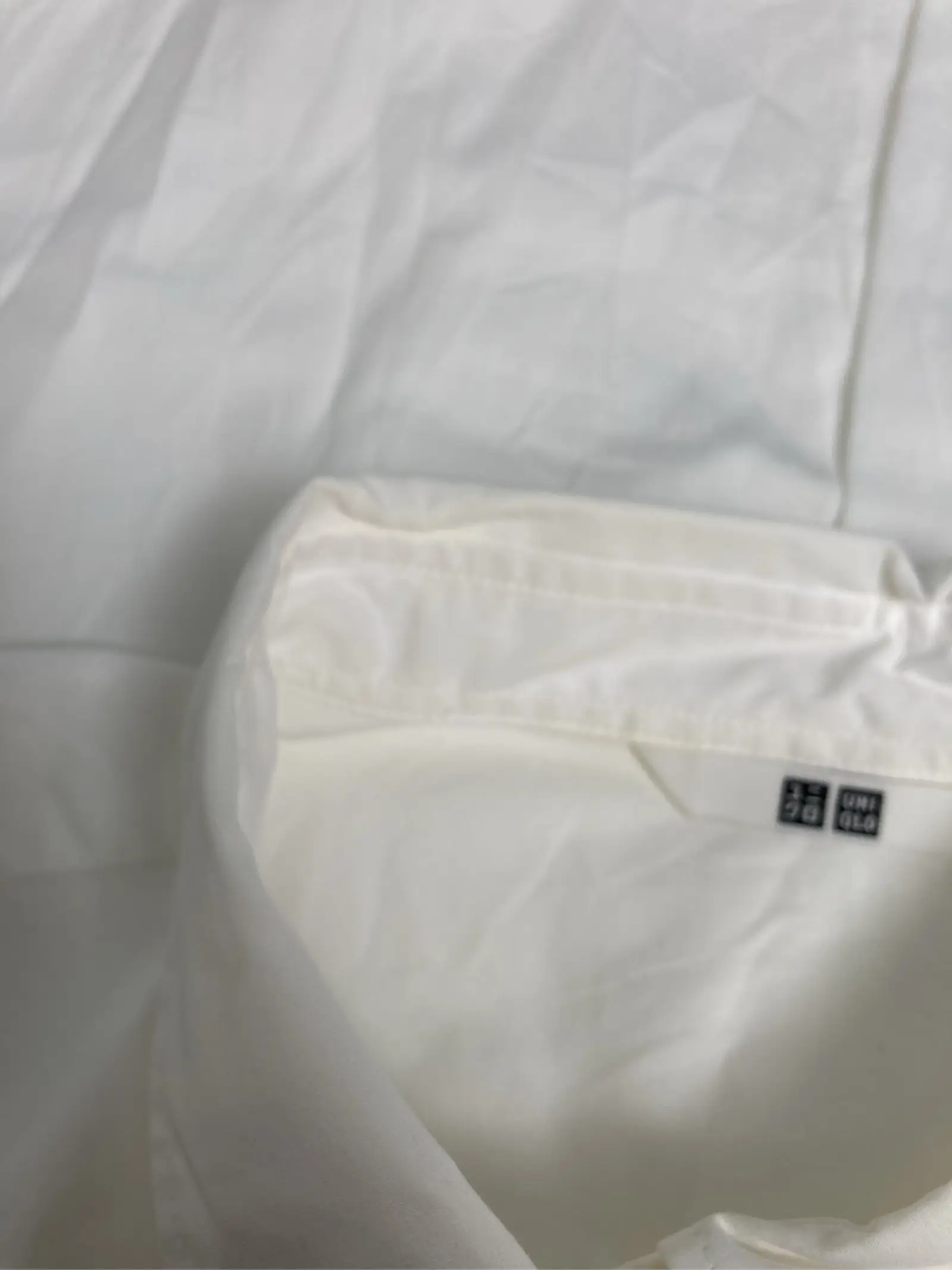 https://r2-worker.digdig.jp/product/c222c699-18dc-4d9f-93df-61661a8f4738/c10a9186-5110-4706-9ba5-4181c068b7fb