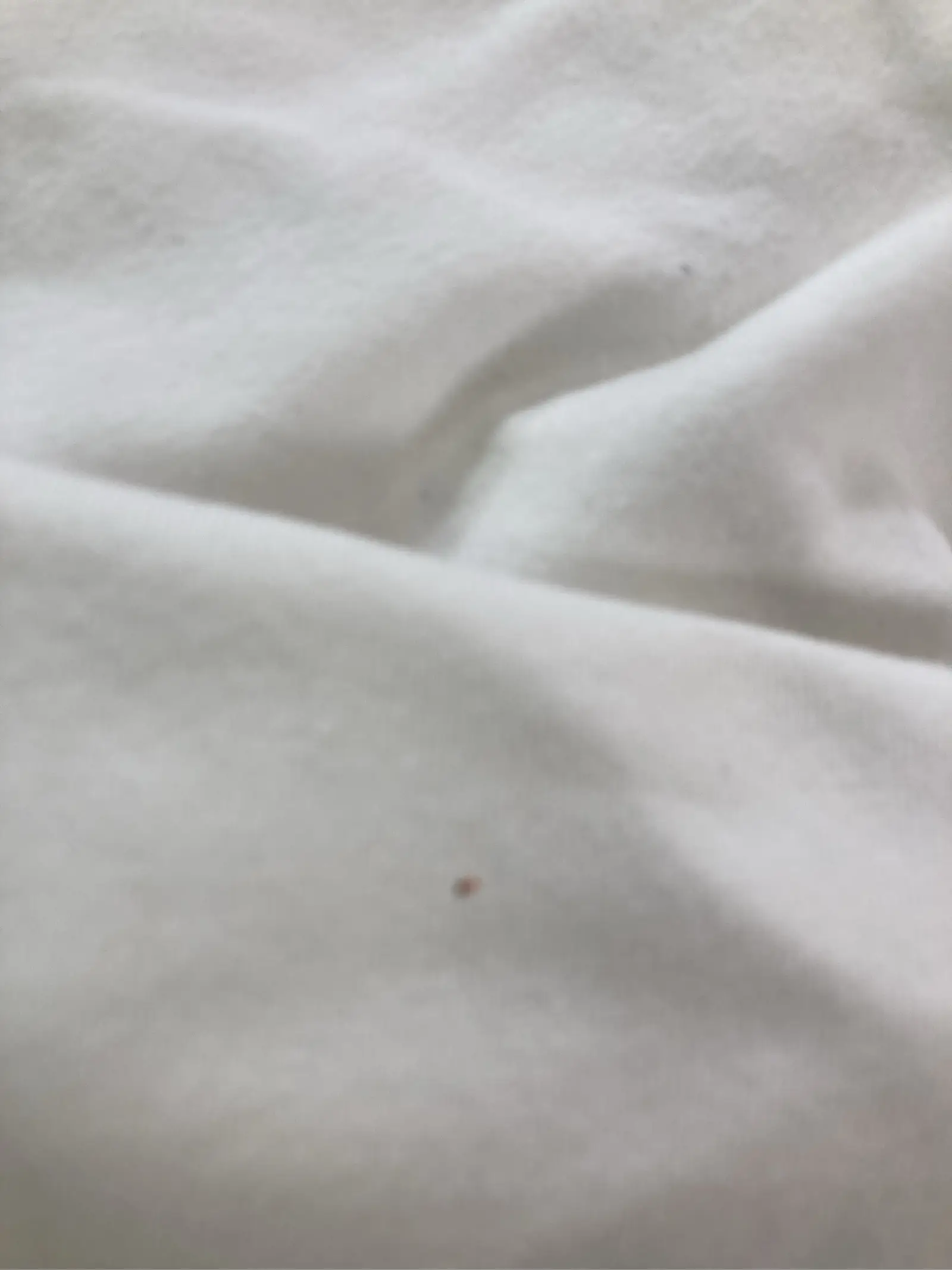 https://r2-worker.digdig.jp/product/c44212c0-3181-404e-a4de-f8a51cb79523/d5ec7824-8cb9-4a0c-bc1b-b260b6786134