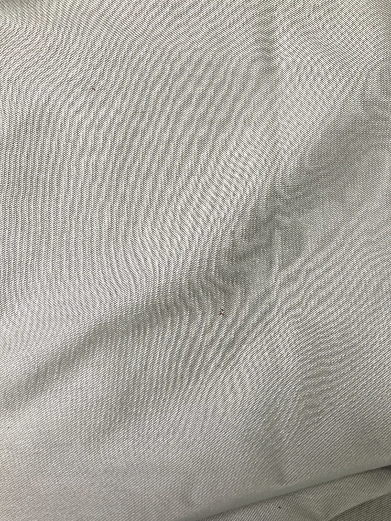 https://r2-worker.digdig.jp/product/c507eada-7698-46b9-9532-b402719e7329/8cc8ff04-c843-4c37-9f67-e3816dbd364a