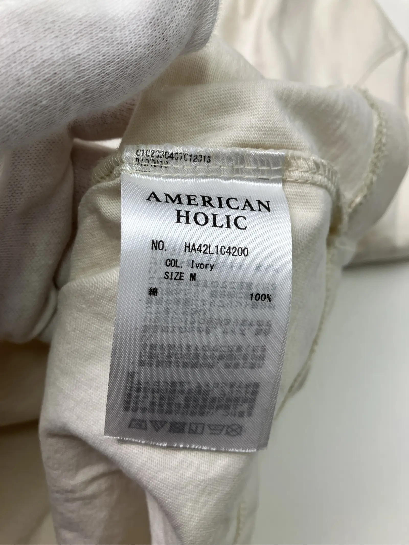 https://r2-worker.digdig.jp/product/c88a0f32-22a9-40fe-9448-72d4e7414494/c2479c8a-5c6f-4ab8-ae7e-fbed623506ae