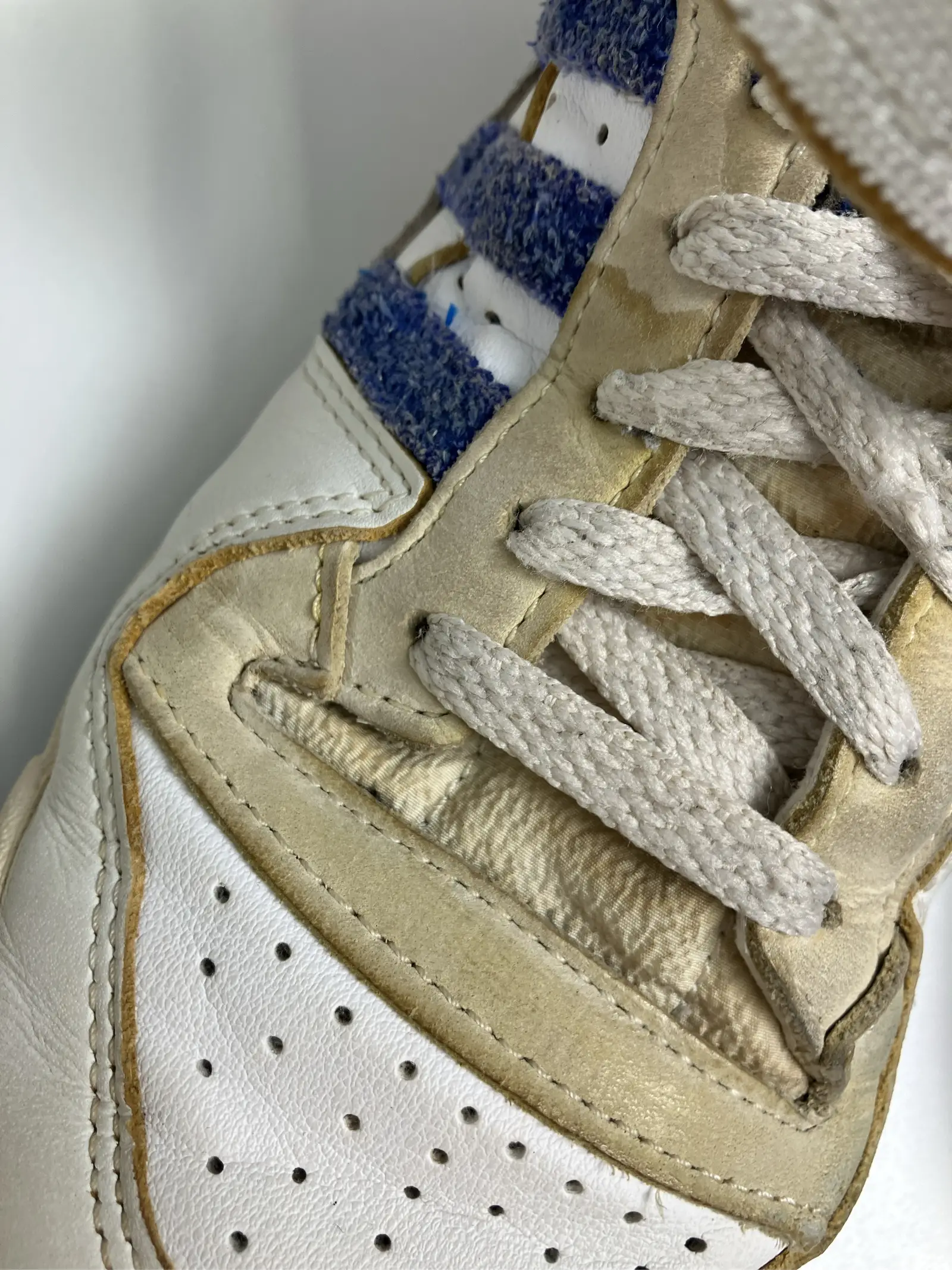 https://r2-worker.digdig.jp/product/c9749d33-b4c9-46a2-84a7-4d5b36c3ecab/9ead817e-d1a4-461b-abc3-e8e5ac59c012