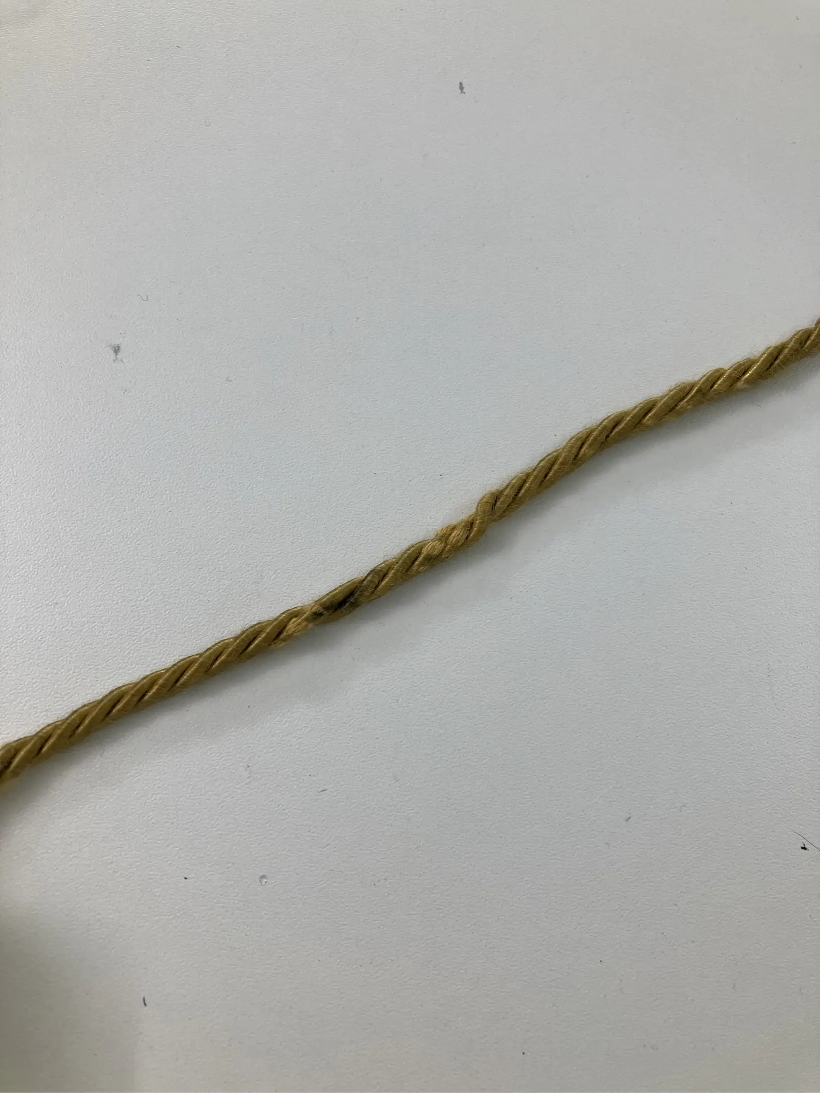 https://r2-worker.digdig.jp/product/cad97795-d2d2-4444-b5e0-4cb86d3f9863/af058d41-1d4d-4806-b98c-aff521a06916
